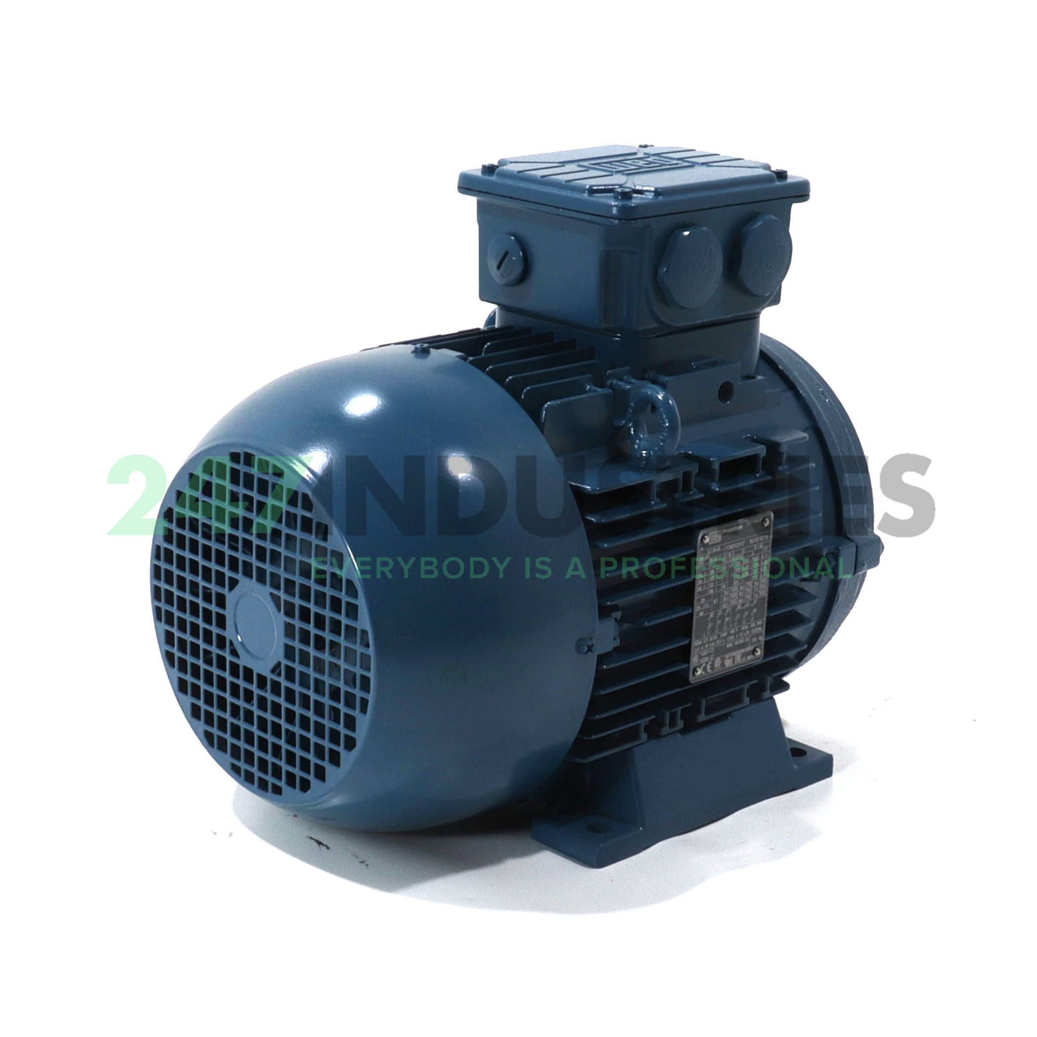 1.5K31AL3112M8B3 WEG Image 3