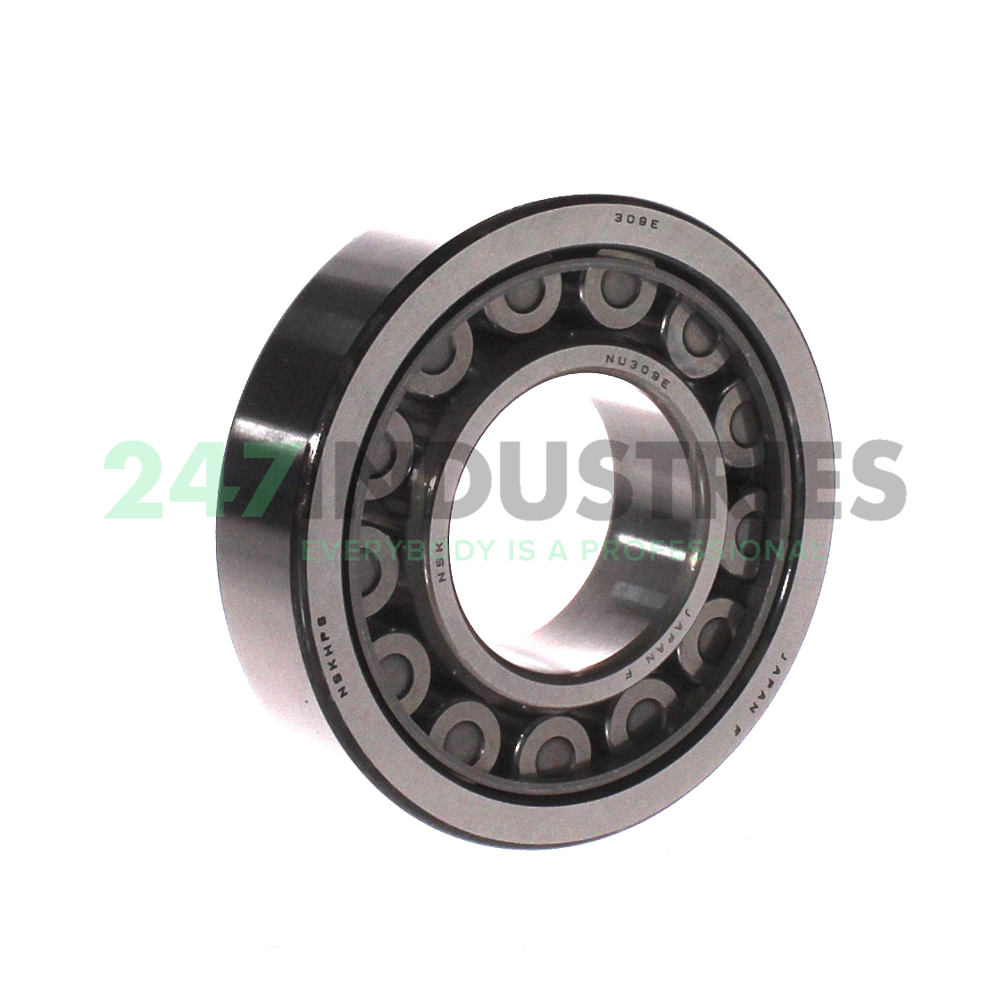 NU309EW NSK