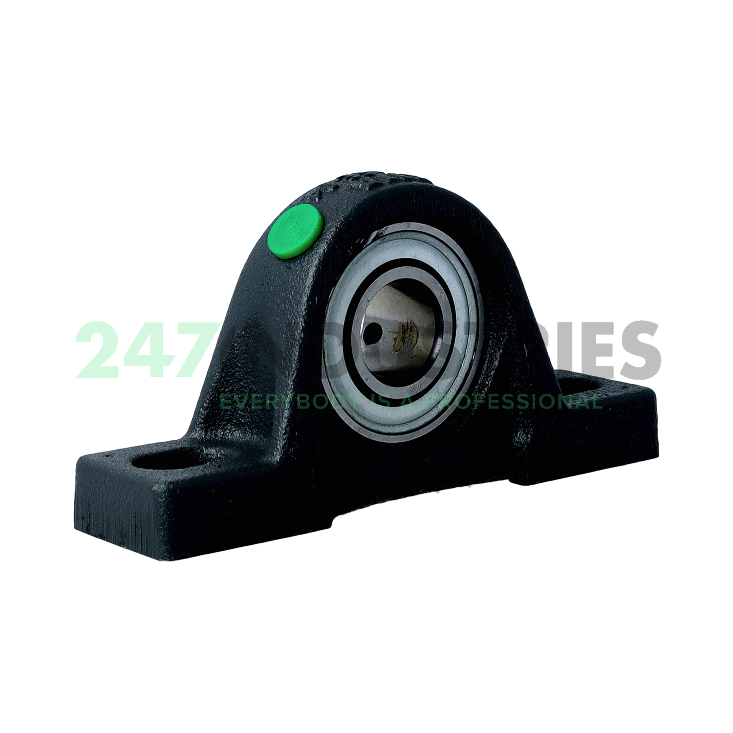 PASEY20-N INA Image 3