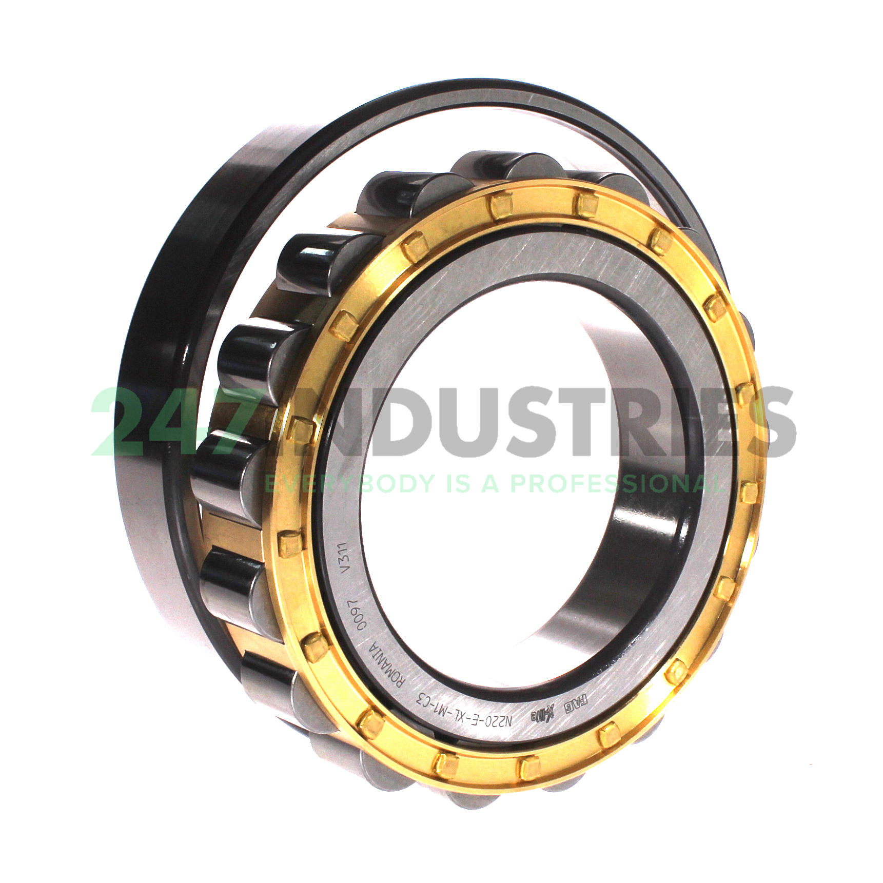 N220-E-XL-M1-C3 FAG Image 3