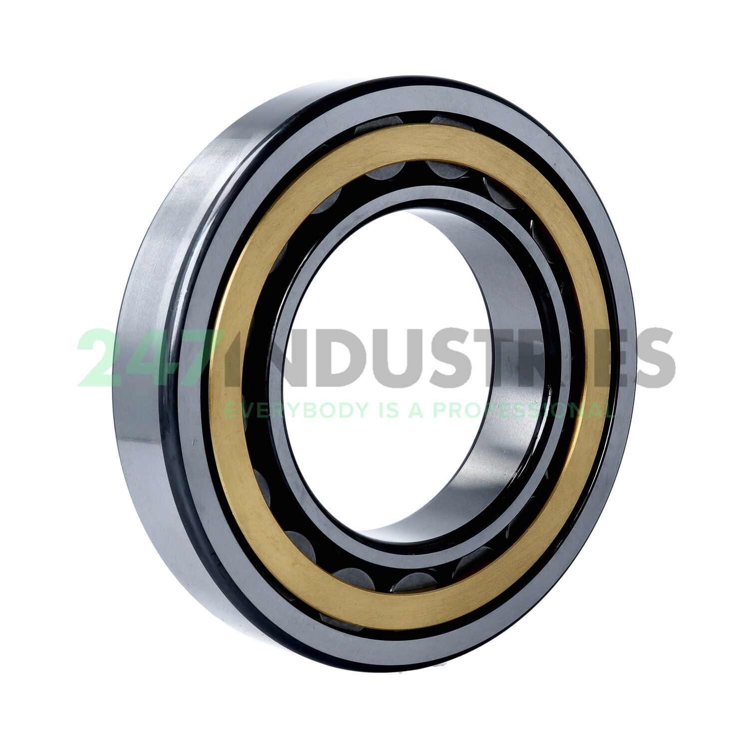 NU219-E-XL-M1 FAG Image 2