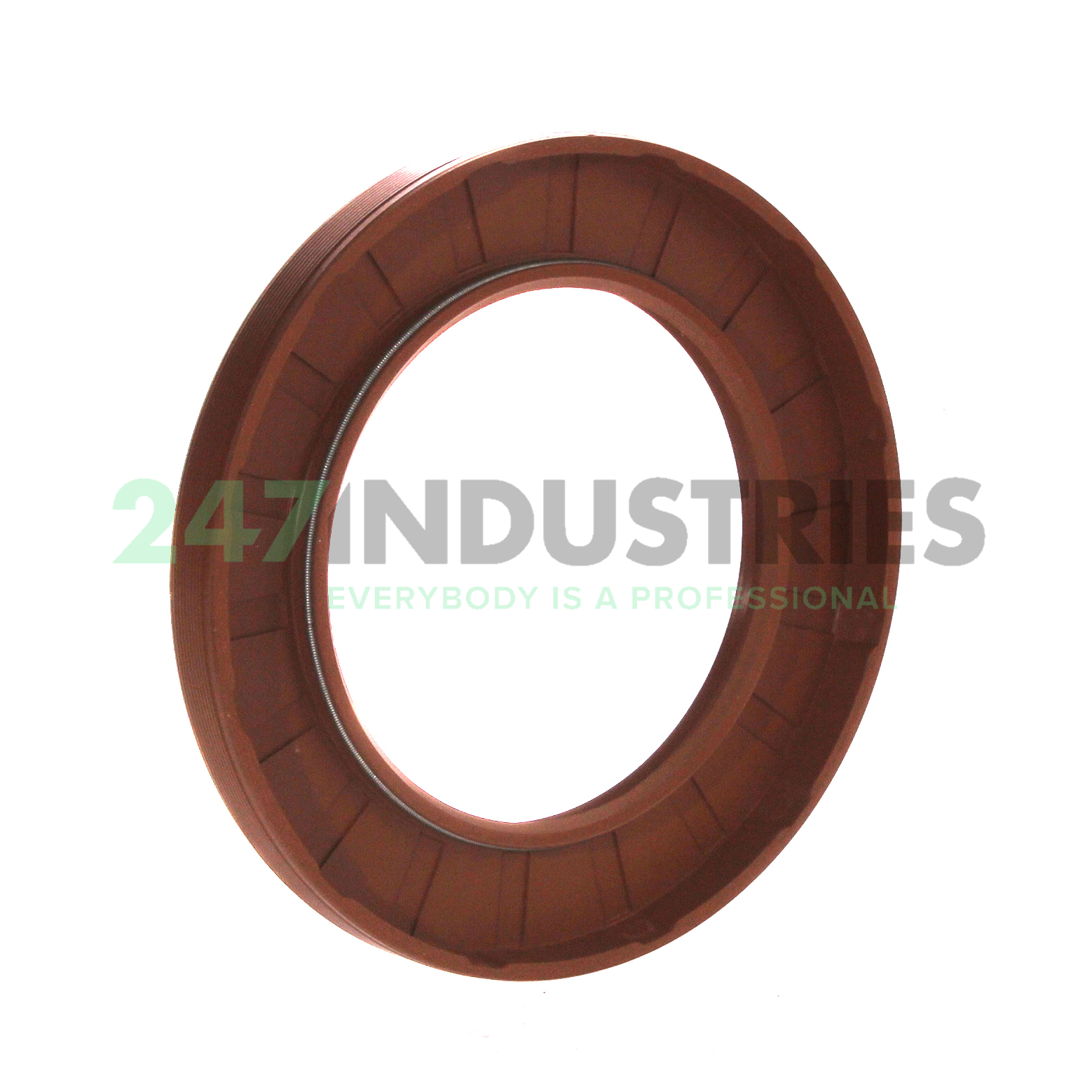 65X100X10HMSA10V SKF Image 2