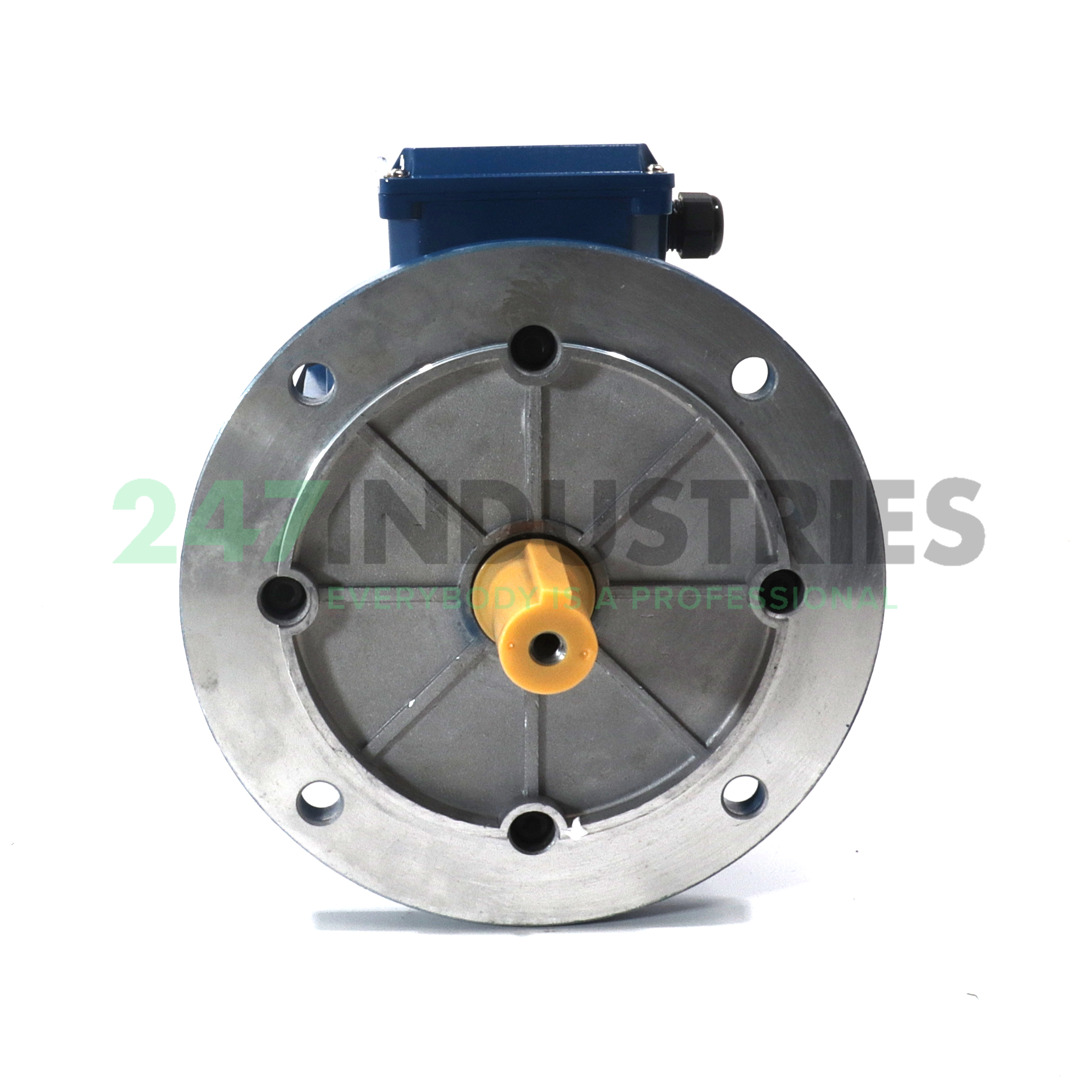 TSHE100L1-4-B5 CMW Image 2