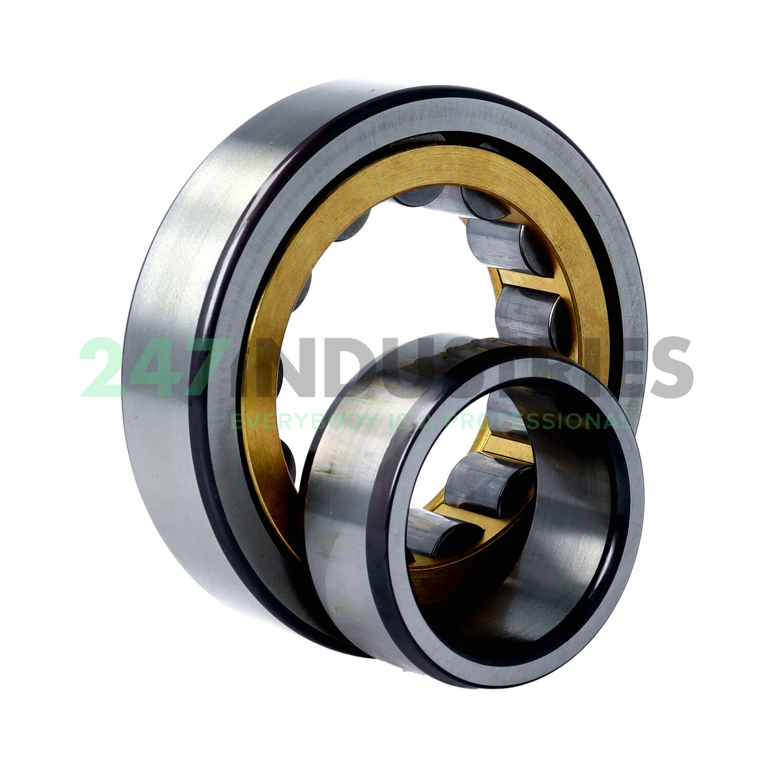 NU309-E-XL-M1 FAG Image 3