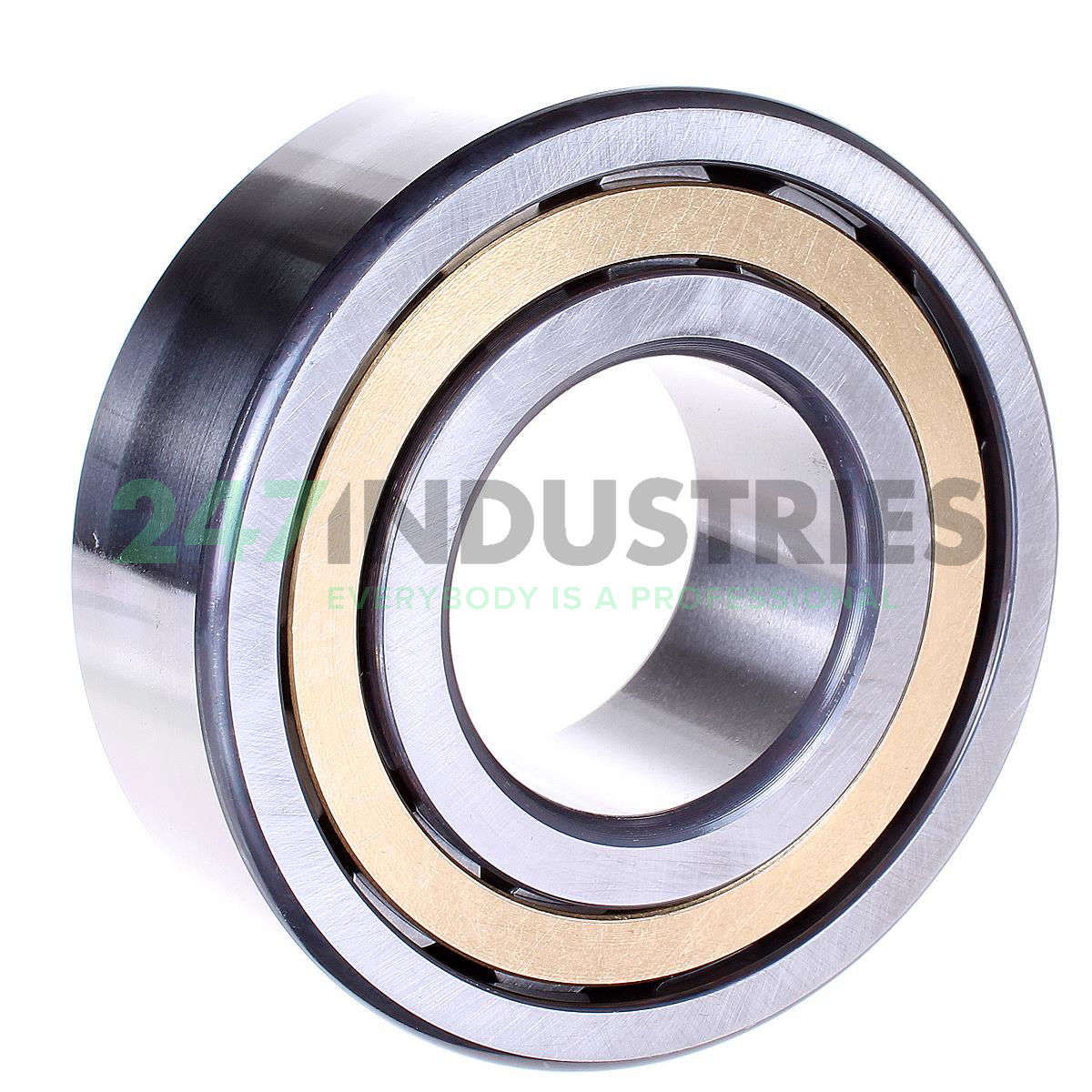 NJ2313-E-XL-M1-C4 FAG