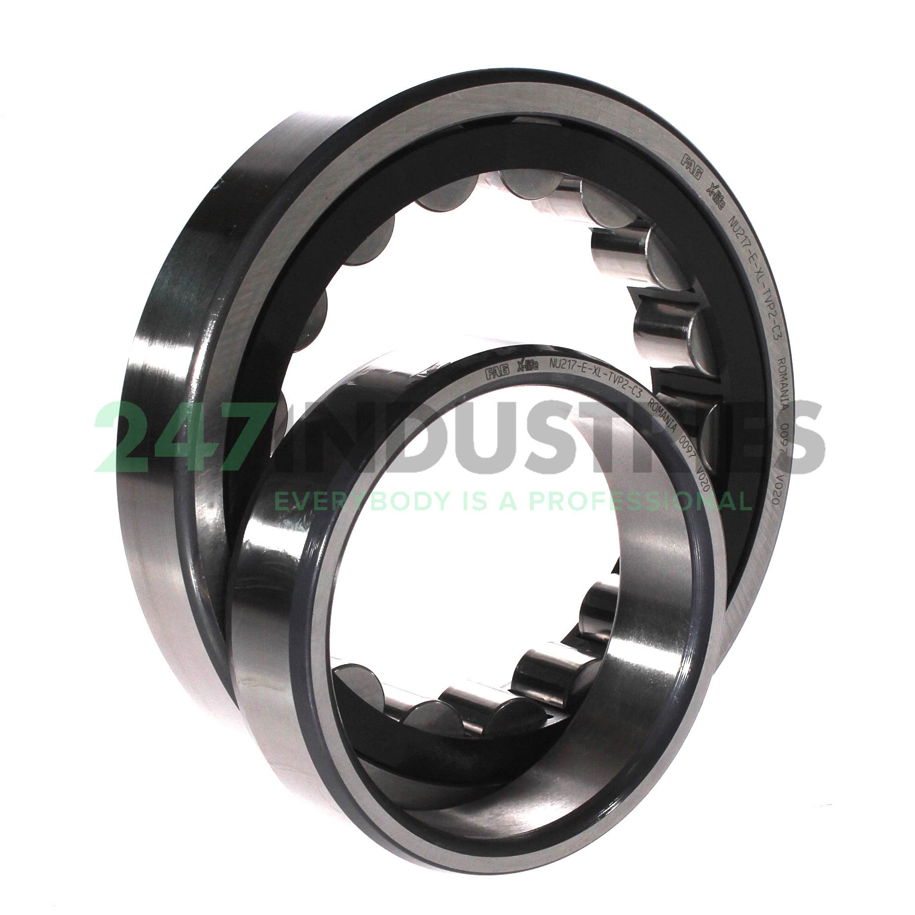 NU217-E-XL-TVP2 FAG Image 3