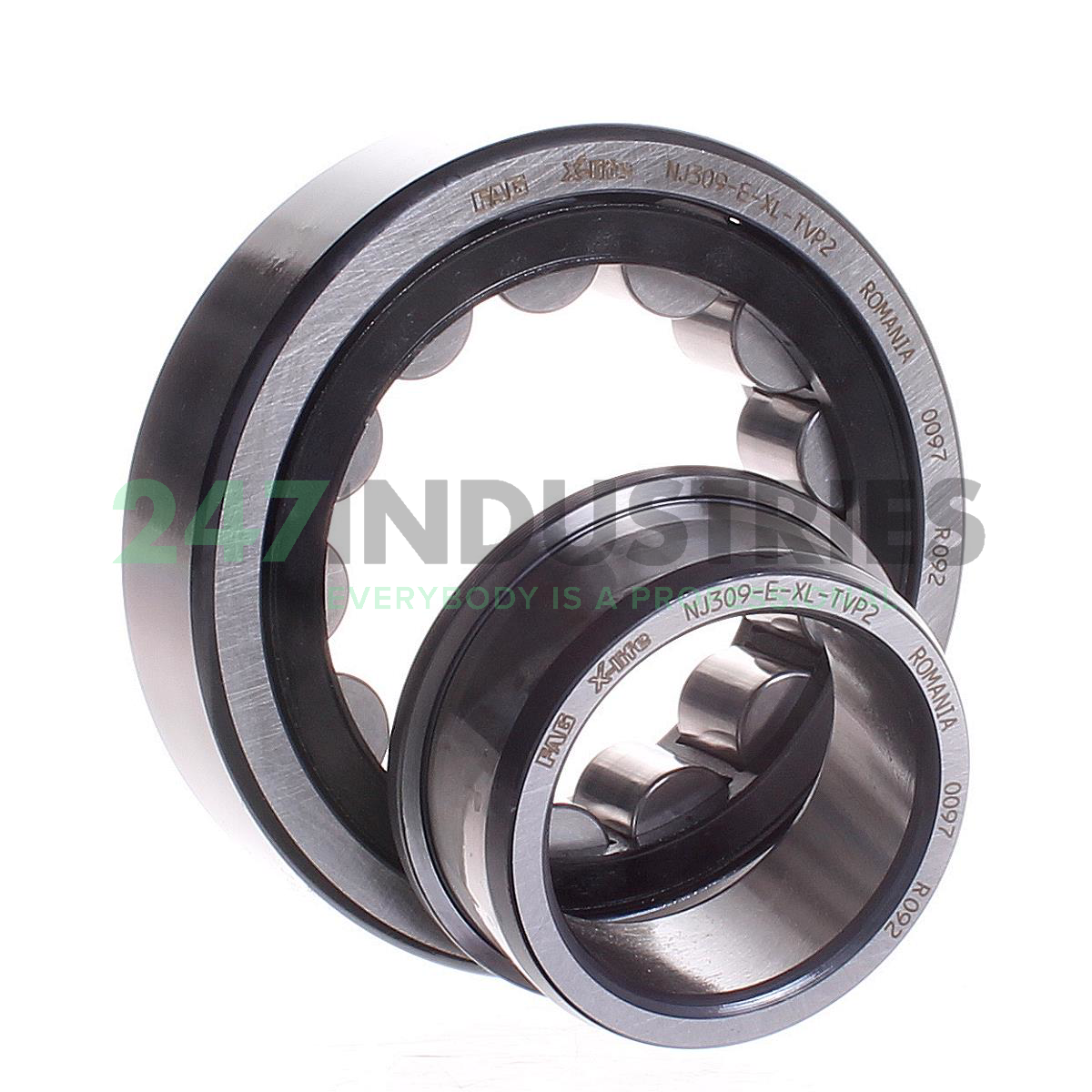 NJ309-E-XL-TVP2 FAG Image 2