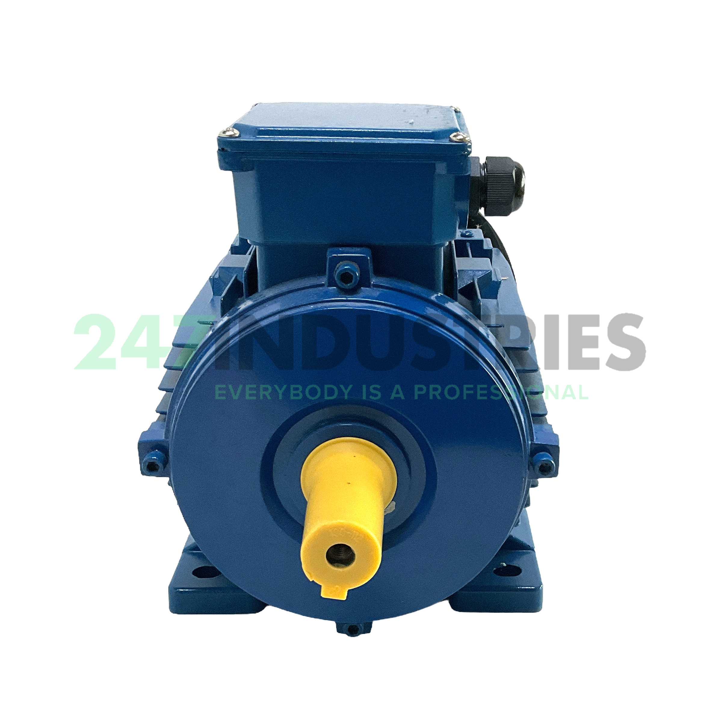 IE2-MSL100LB-4-B3 Cemer Image 2