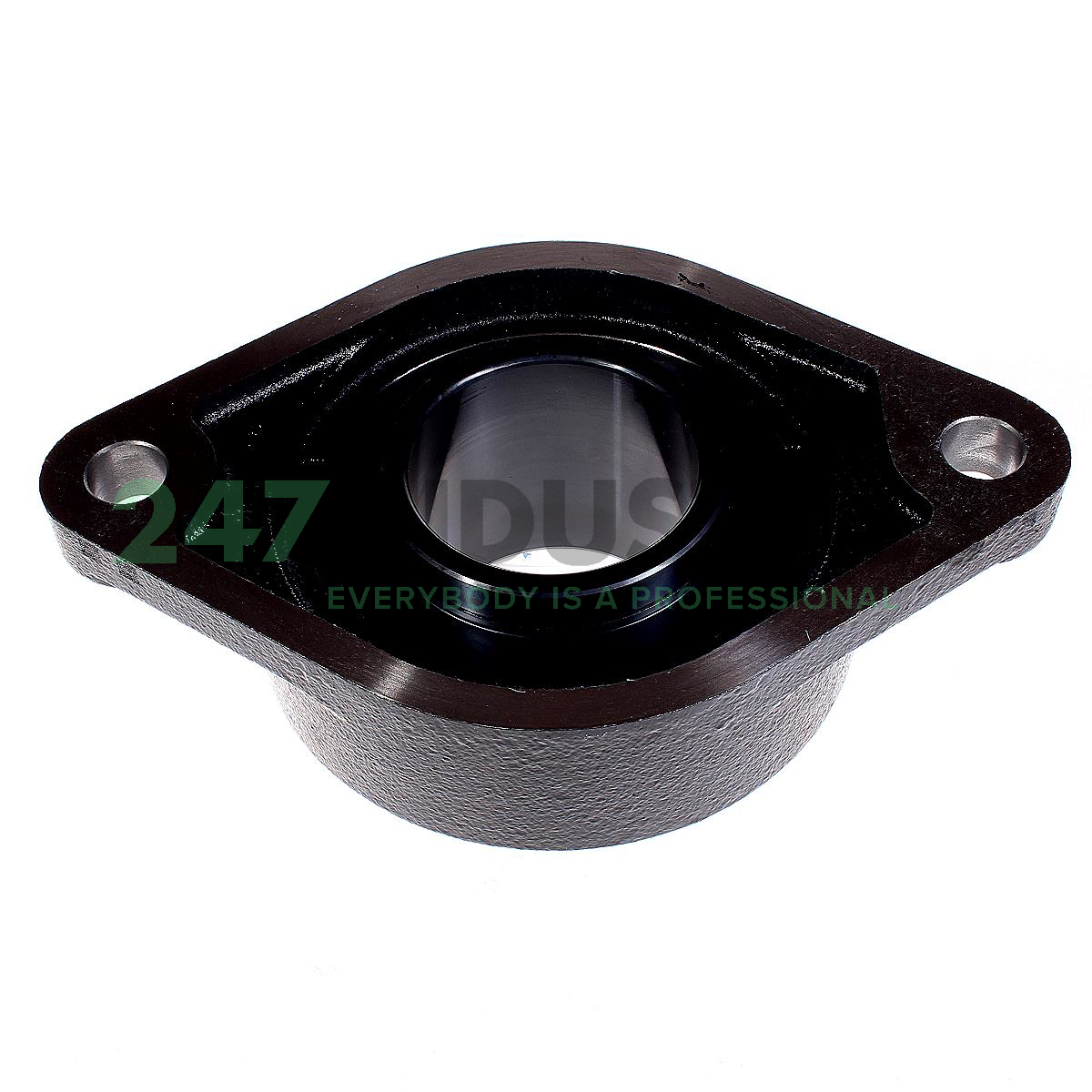 UCFL218-J7 FAG Image 3