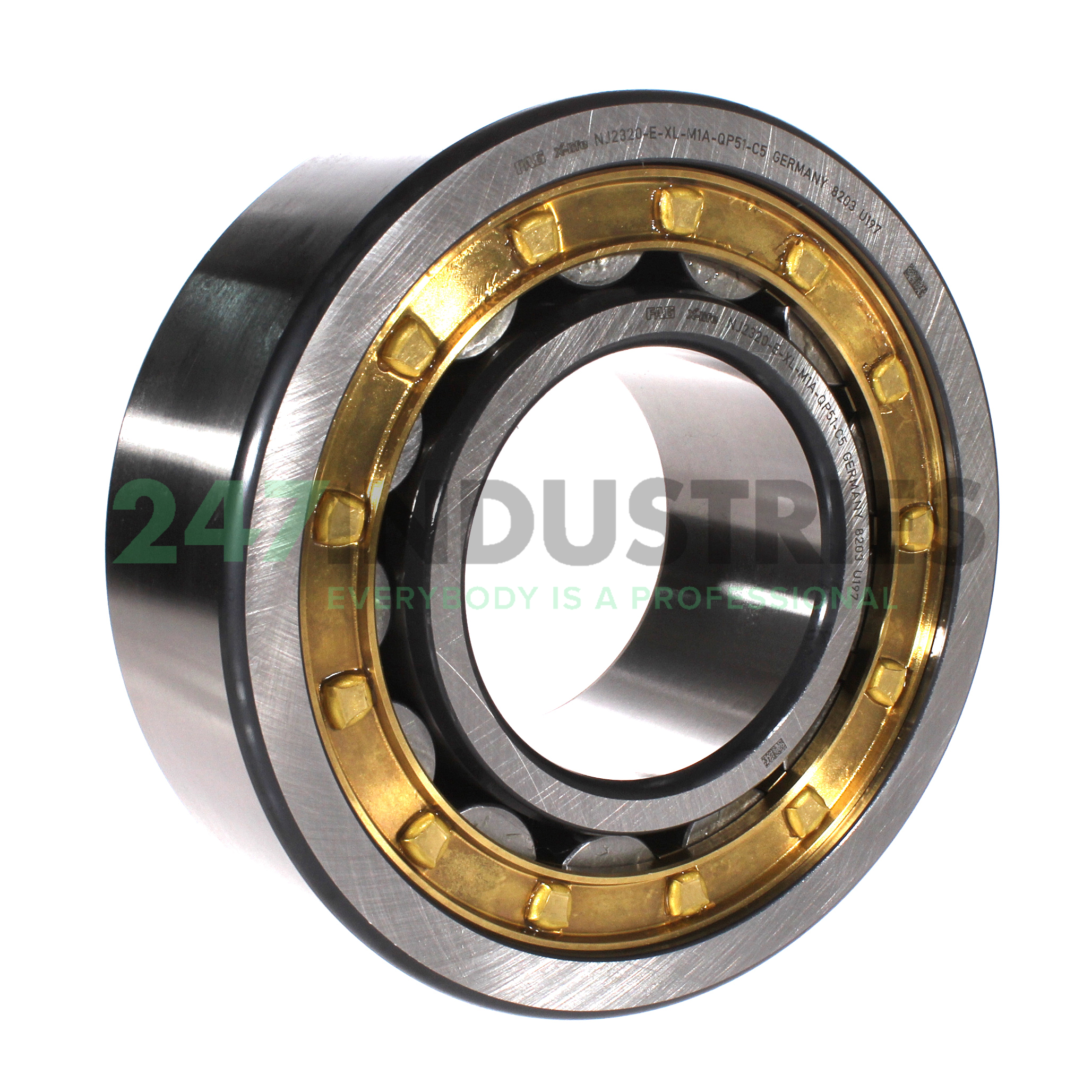 NJ2320-E-XL-M1A-QP51-C5 FAG