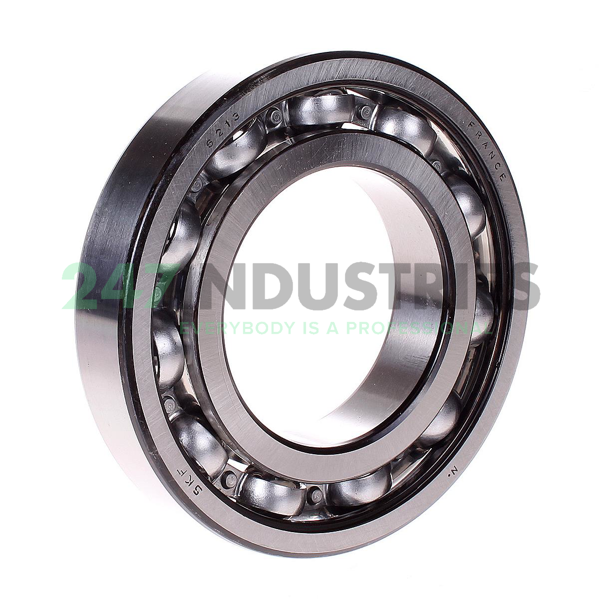 6213 SKF