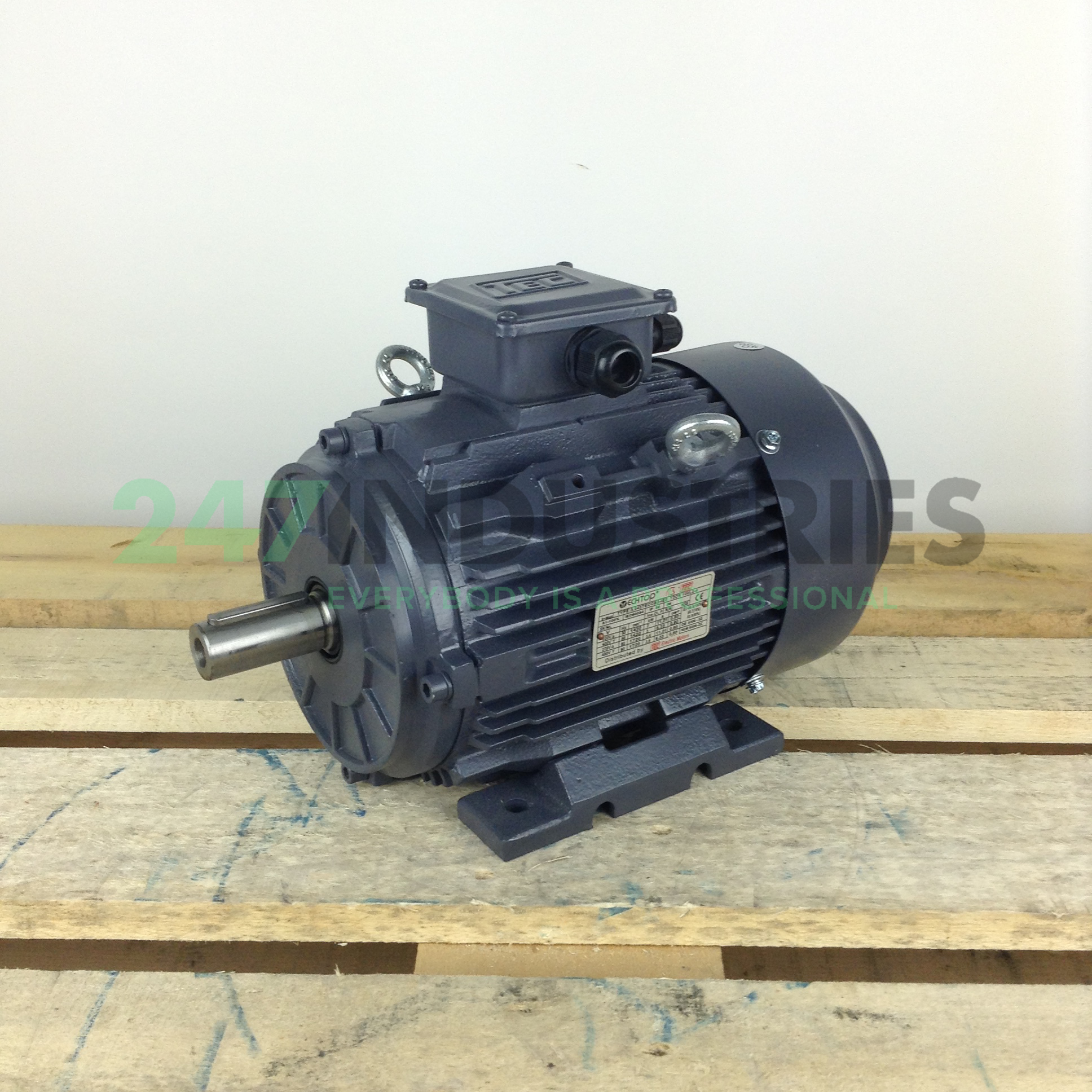 T2CR100L2-4B3 TEC Electric Motors