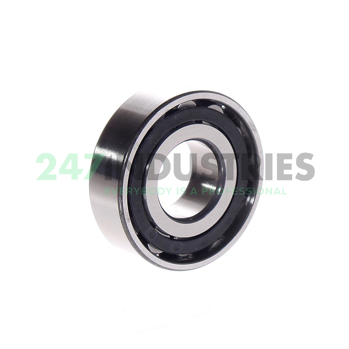 N204-E-XL-TVP2 FAG Image 3