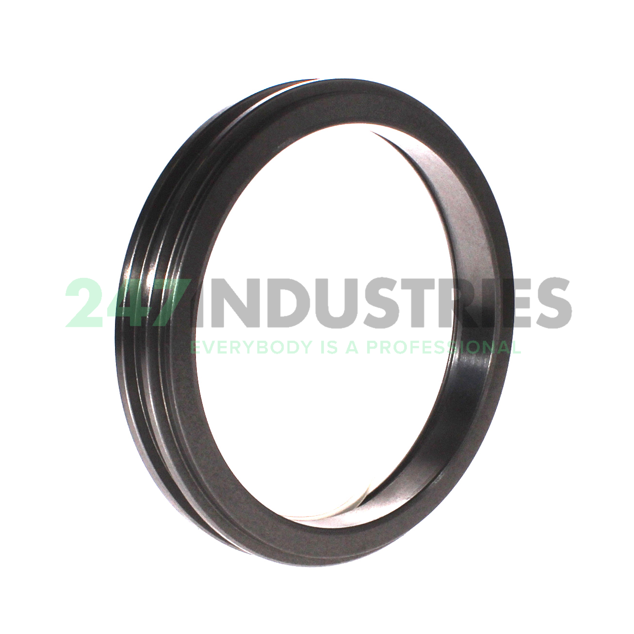 TSN224S SKF