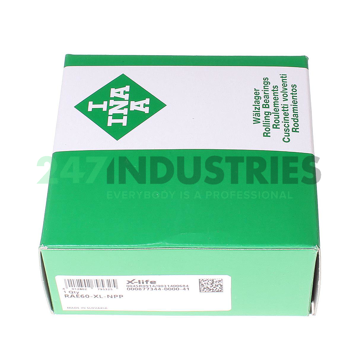 RAE60-XL-NPP INA Image 3