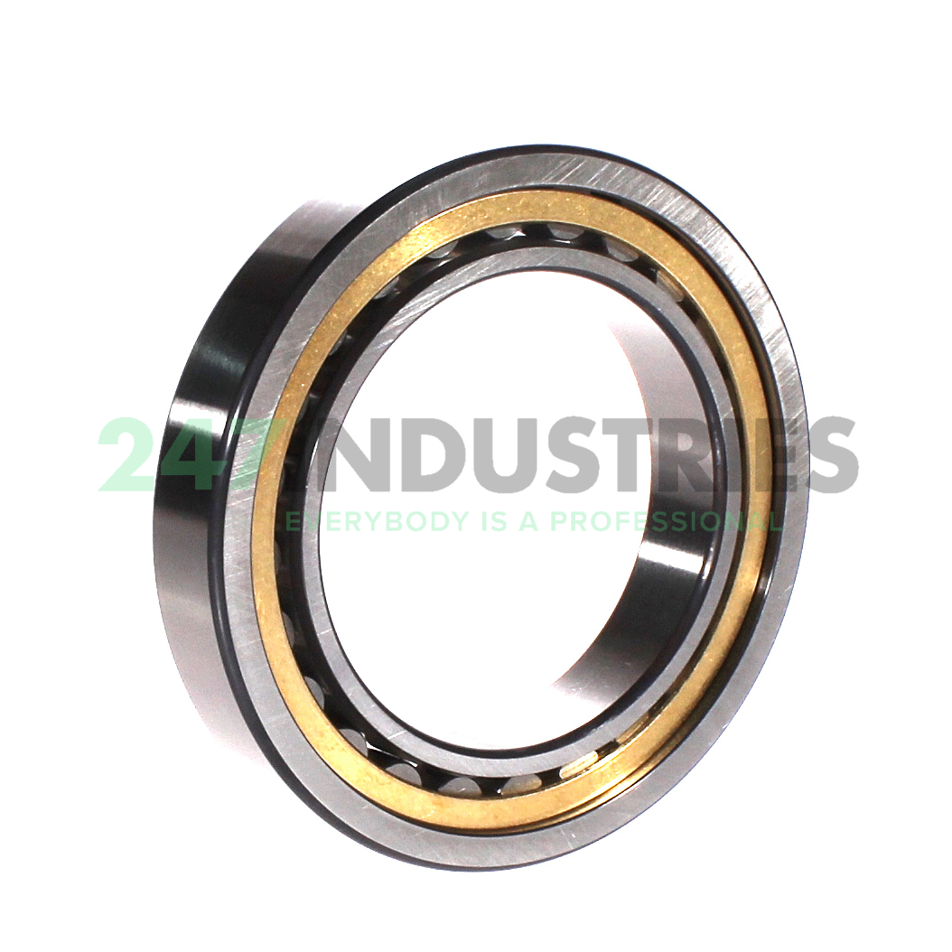 NU1015-XL-M1A FAG Image 3