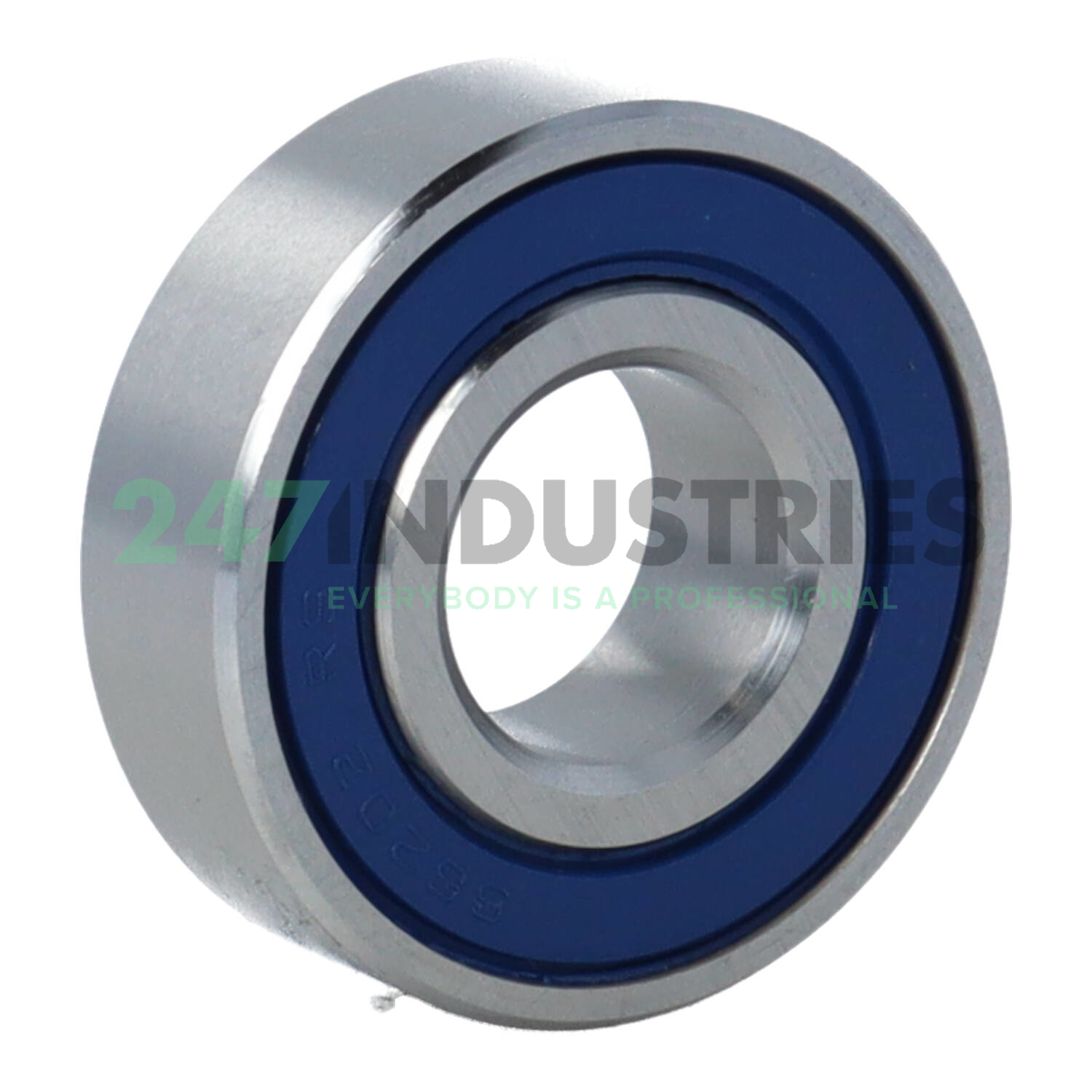 S6202 2RS Rollway Image 2