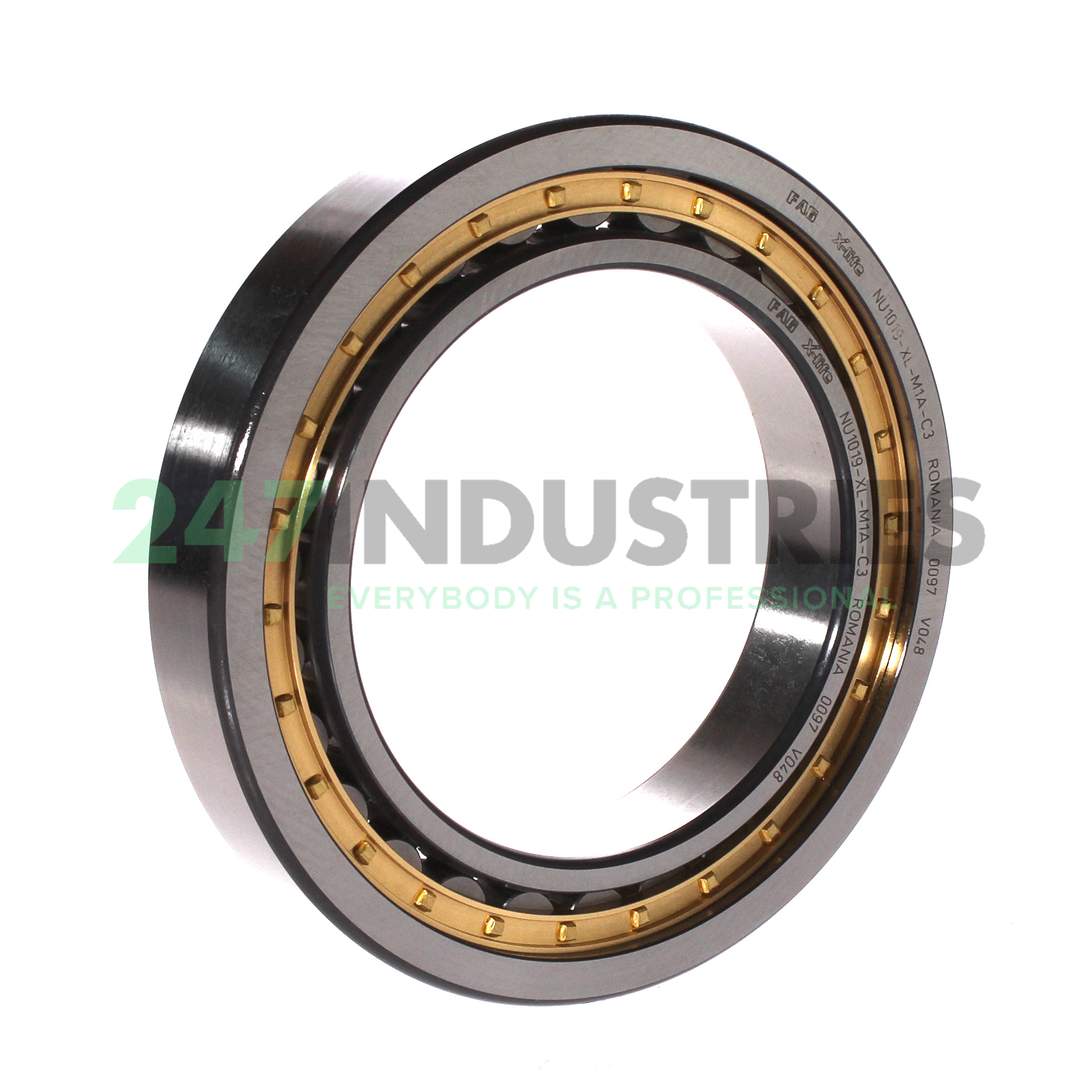 NU1019-XL-M1A-C3 FAG