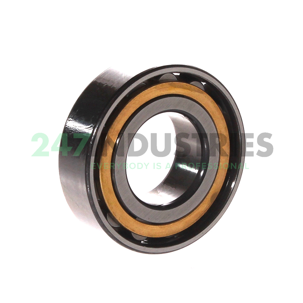 N205-E-XL-M1 FAG Image 2