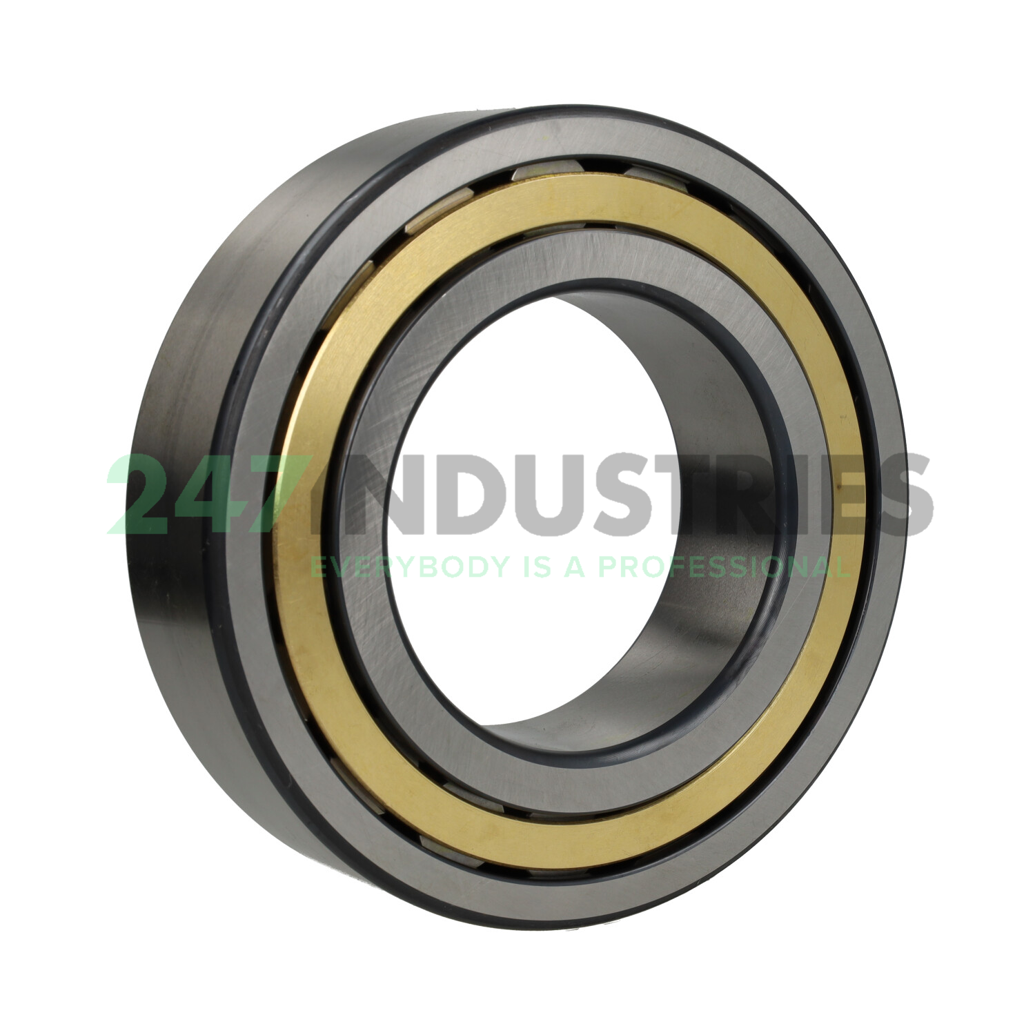 NJ2220-E-XL-M1-C3 FAG Image 2