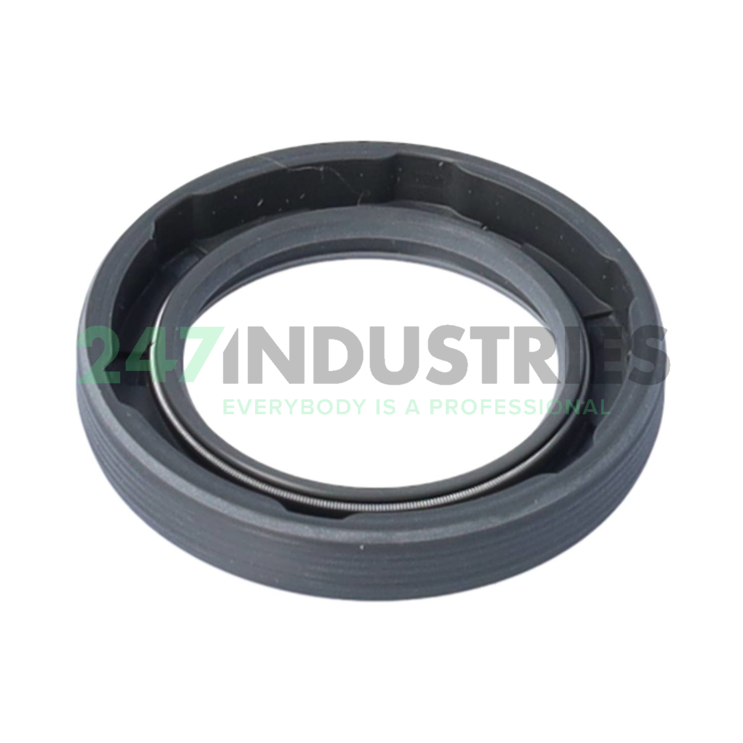 25X37X6HMS5RG SKF Image 2