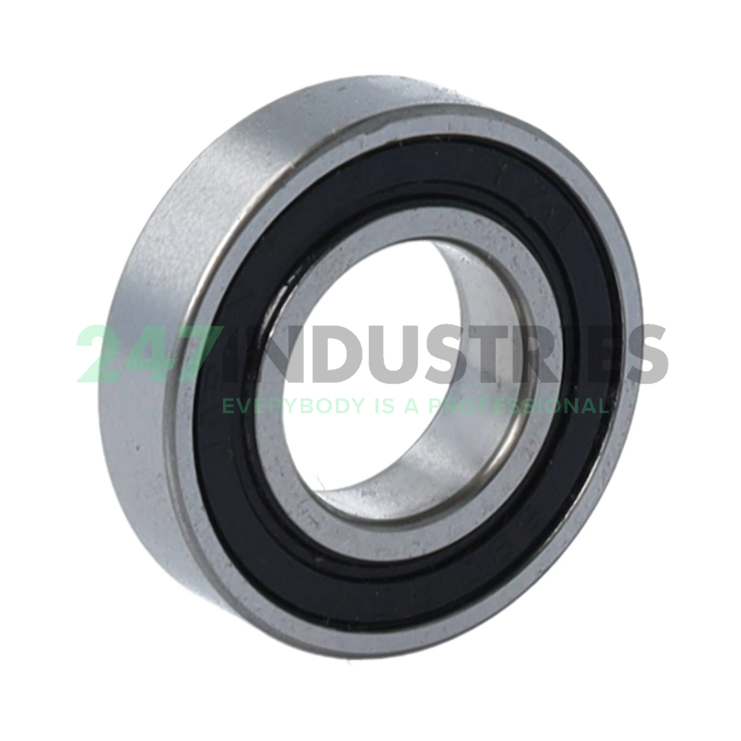 61901 2RS EZO Image 2