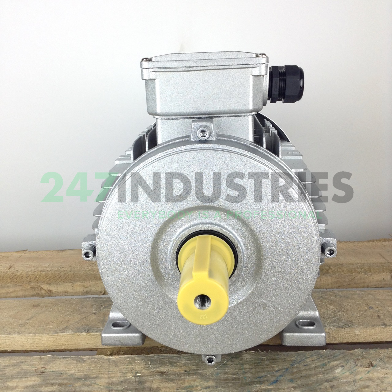 MR13A3019-132S-6-B3 Neri Motori Image 4