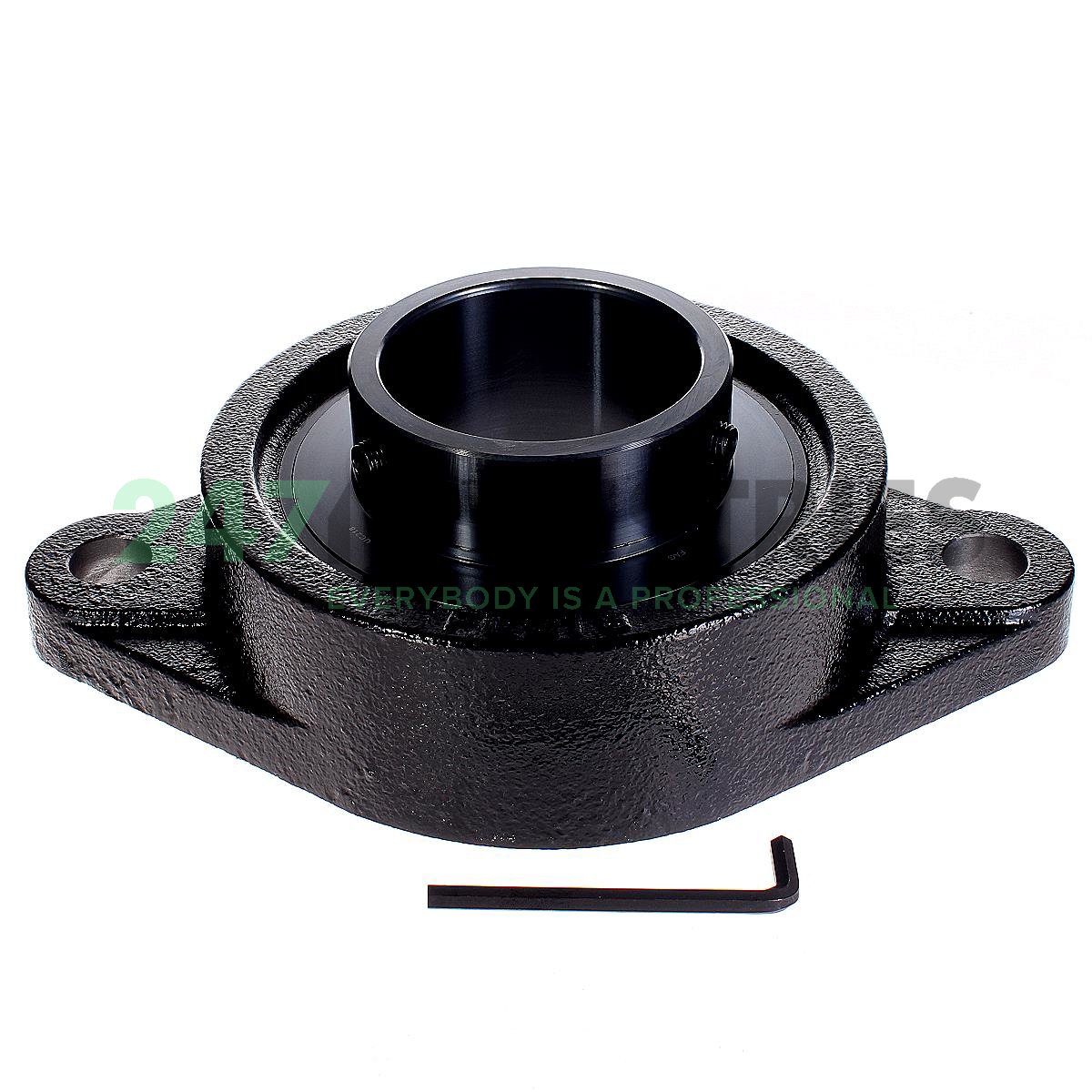 UCFL218-J7 FAG Image 2