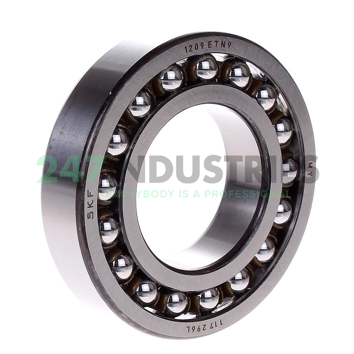 1209ETN9 SKF