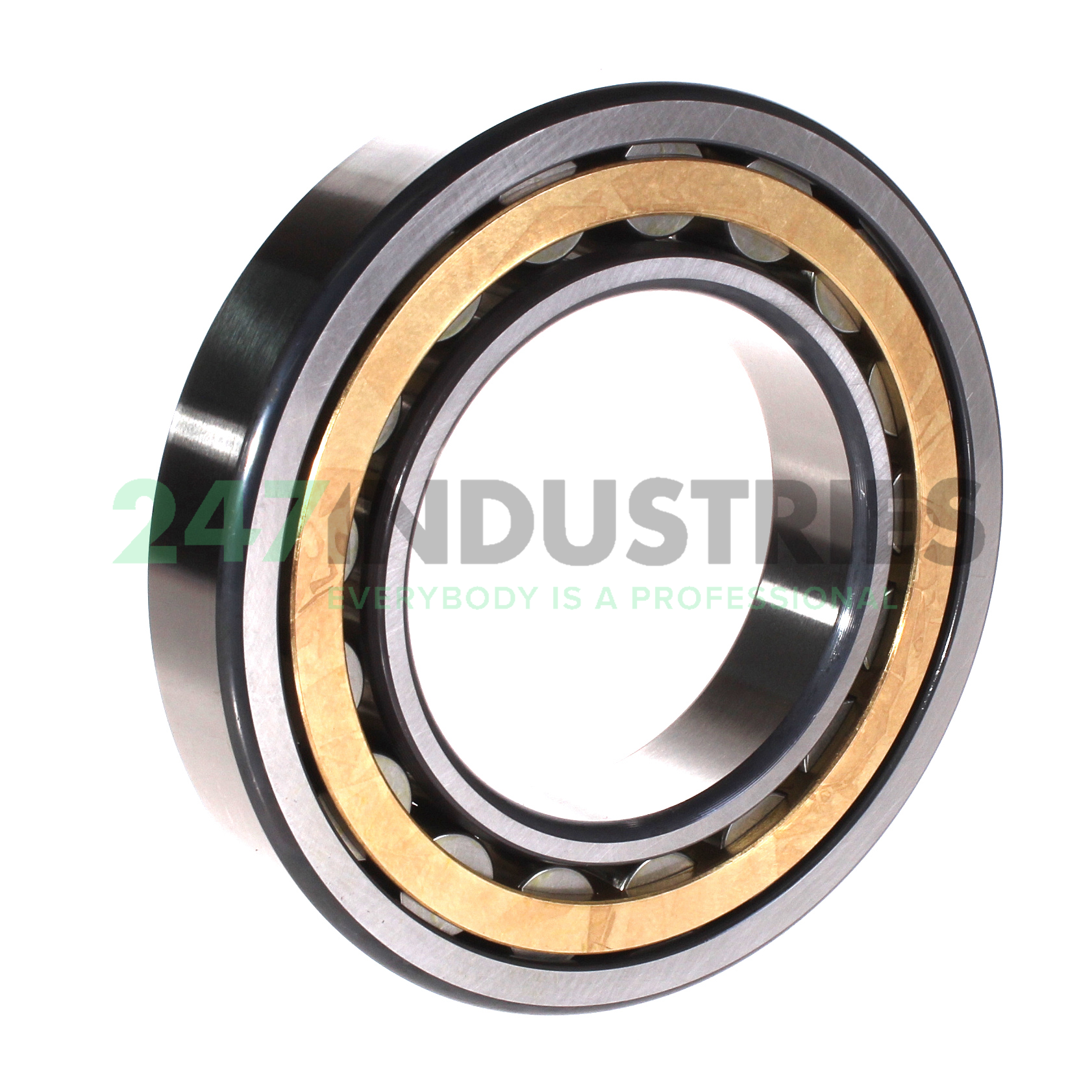 NU217-E-M1 FAG Image 2