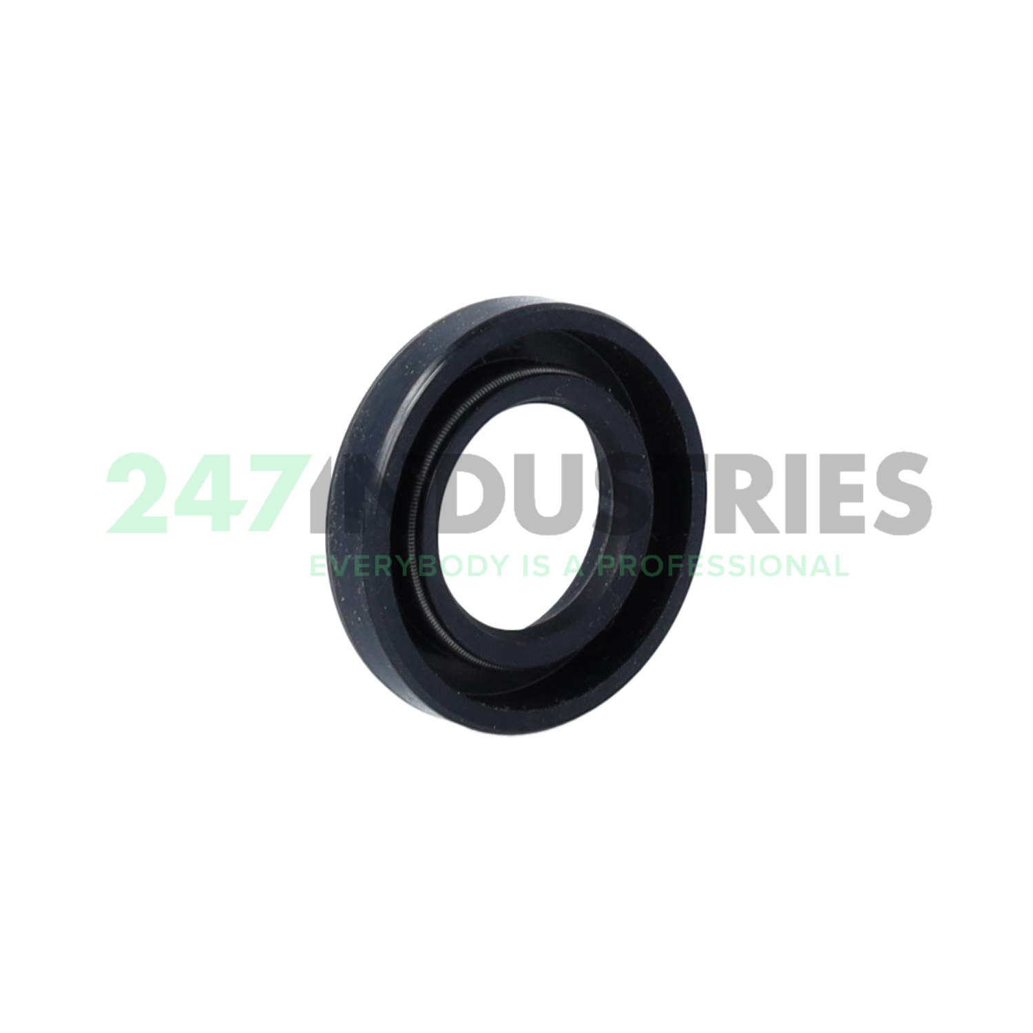 17X30X6HMS4R SKF Image 2