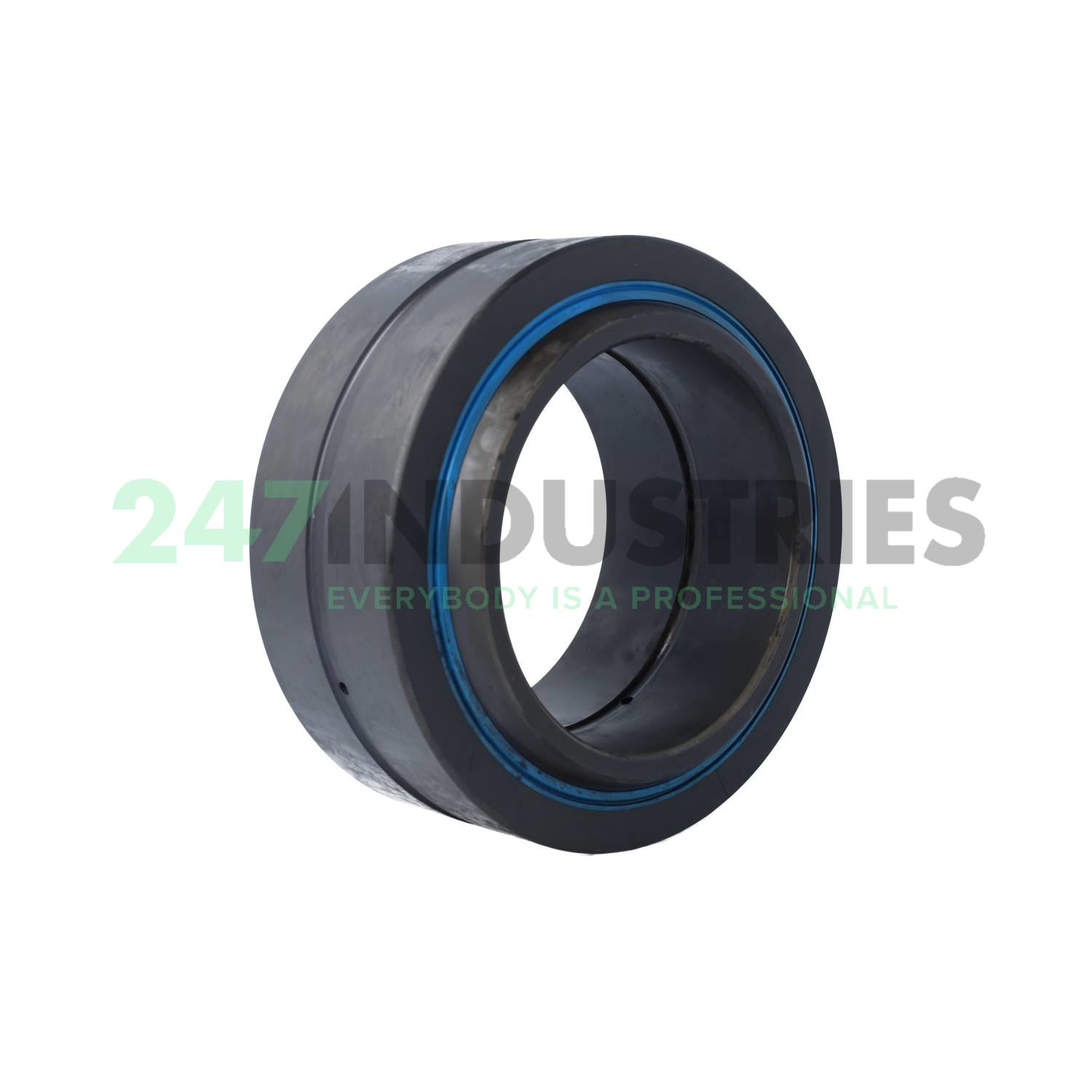 GE120-DO-2RS-E INA Image 2