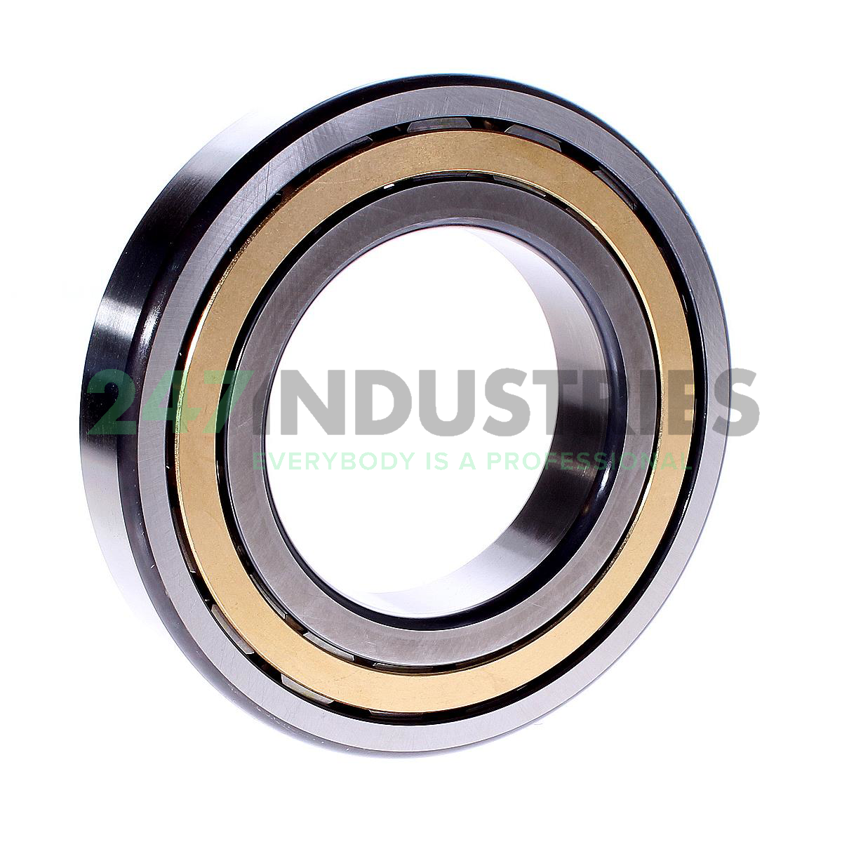 NJ219-E-XL-M1-C4 FAG Image 3