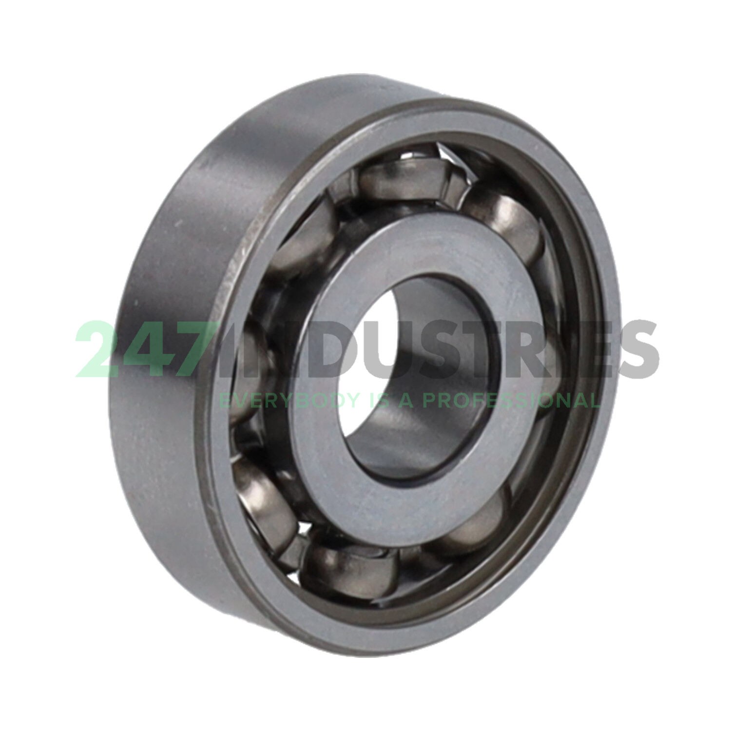 16100 SKF Image 2