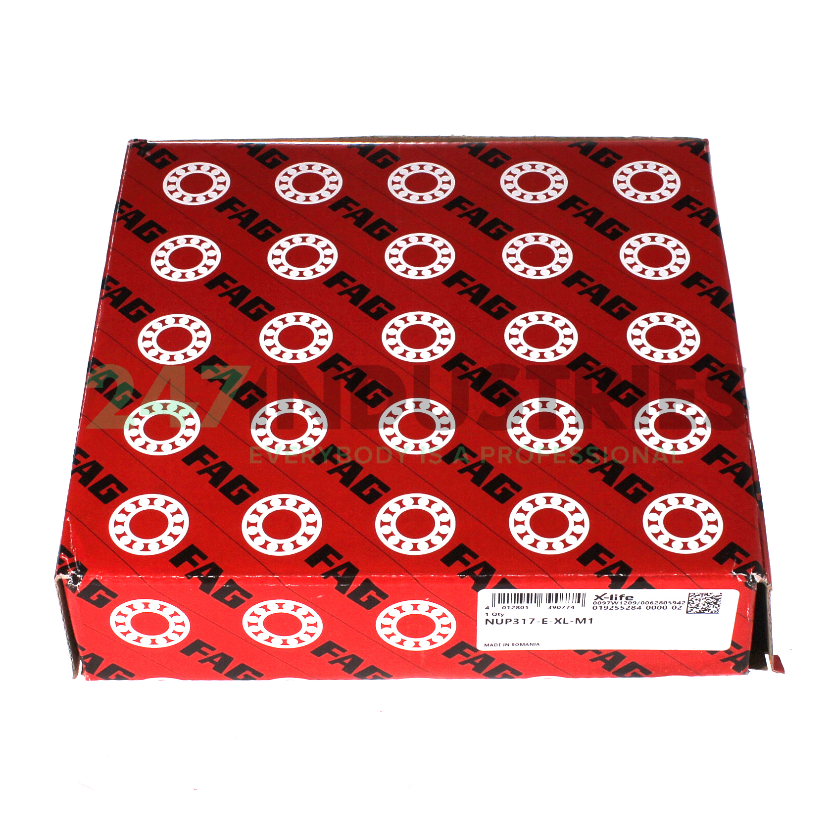NUP317-E-XL-M1 FAG Image 4