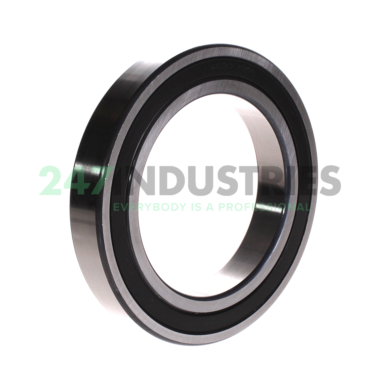 6020-2RSR FAG Image 2