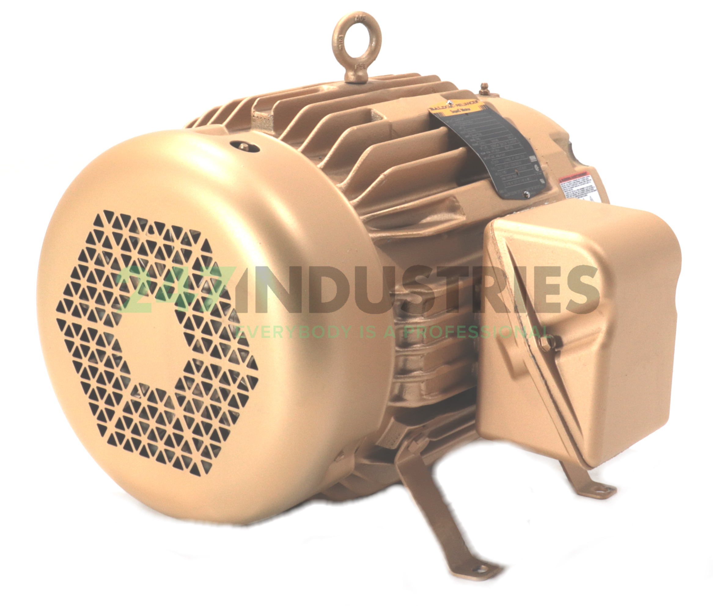 VEM3774T Baldor Image 3