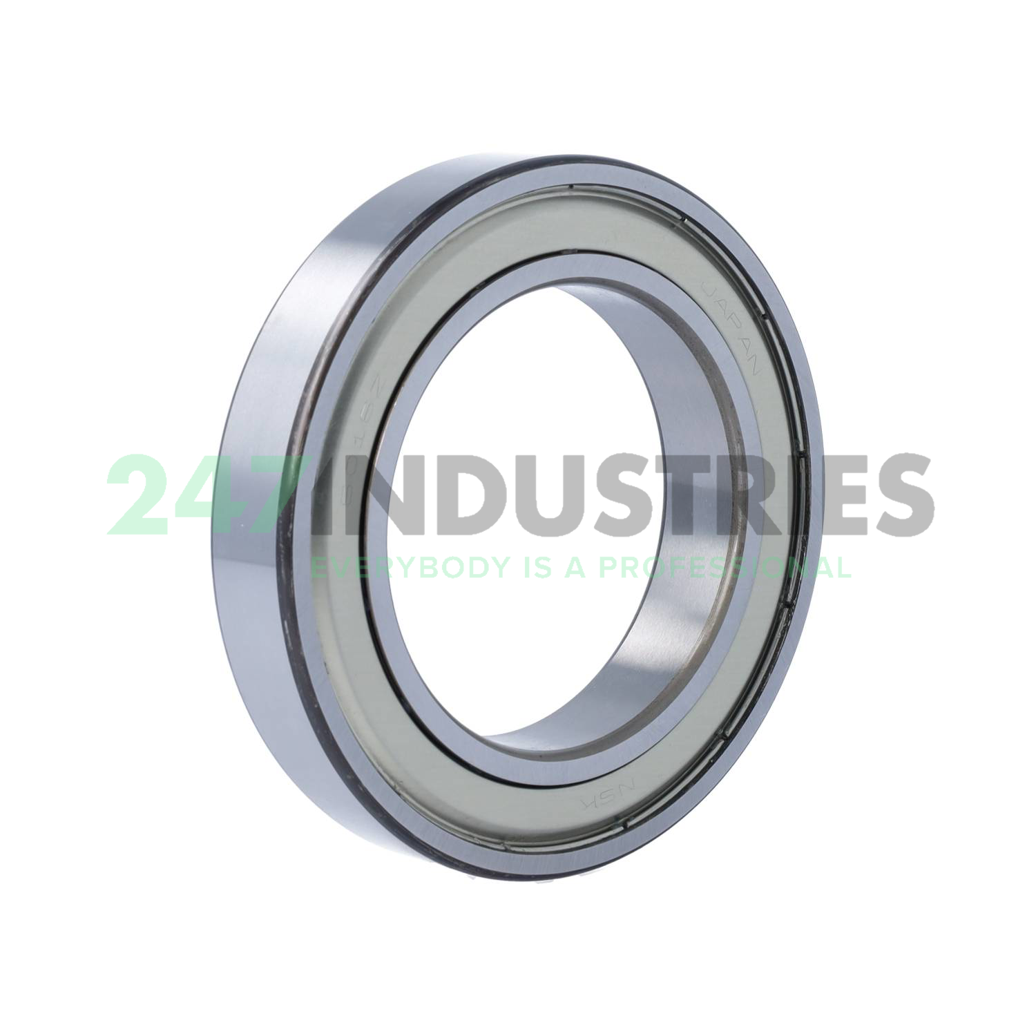 6016ZZCM NSK Image 2