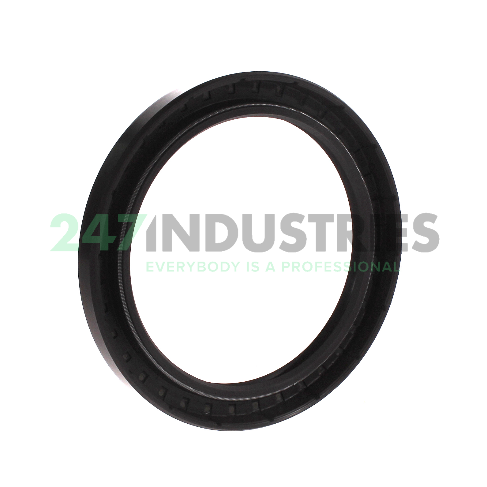 BASL100X130X13 Freudenberg Image 2