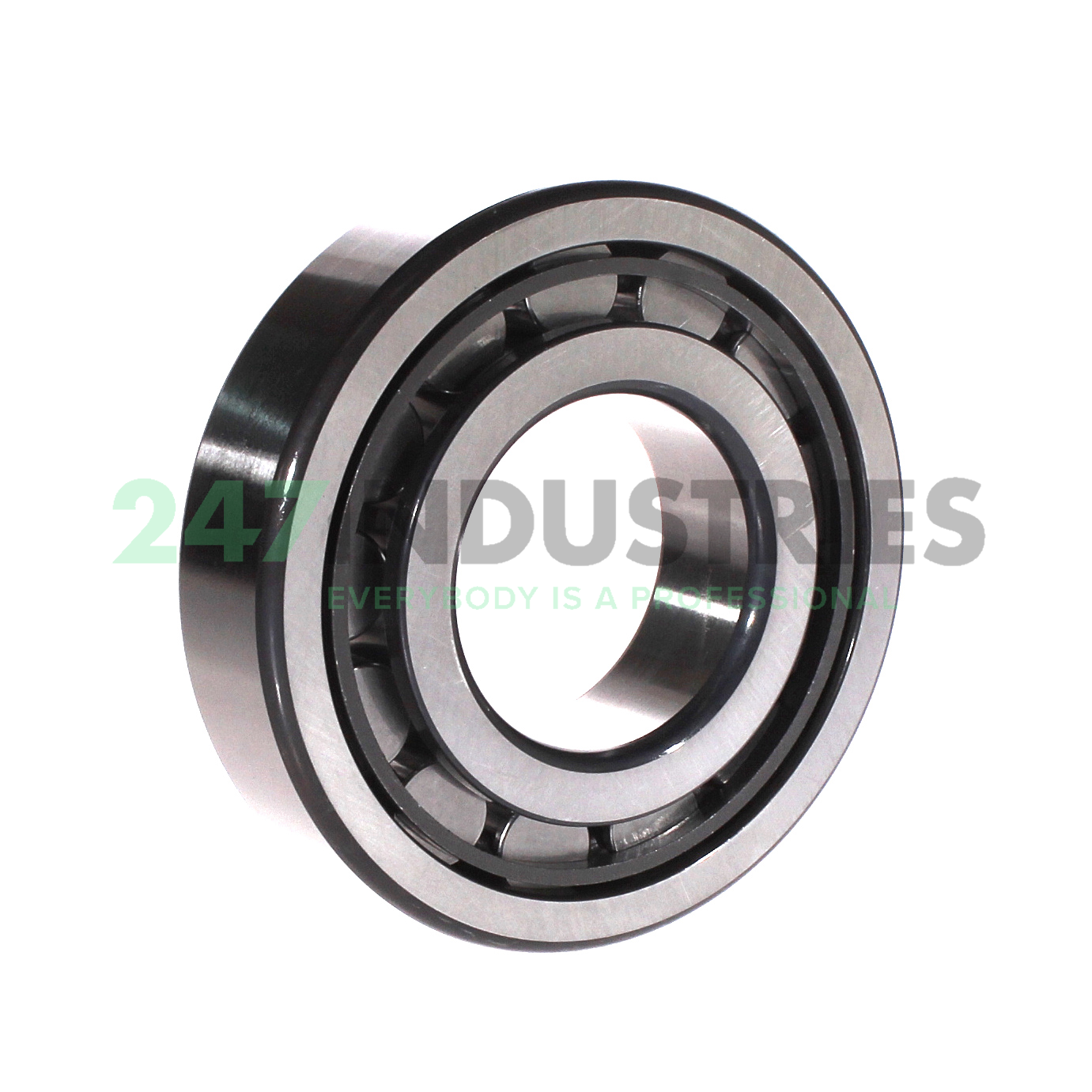 NJ310-E-XL-JP3 FAG Image 2