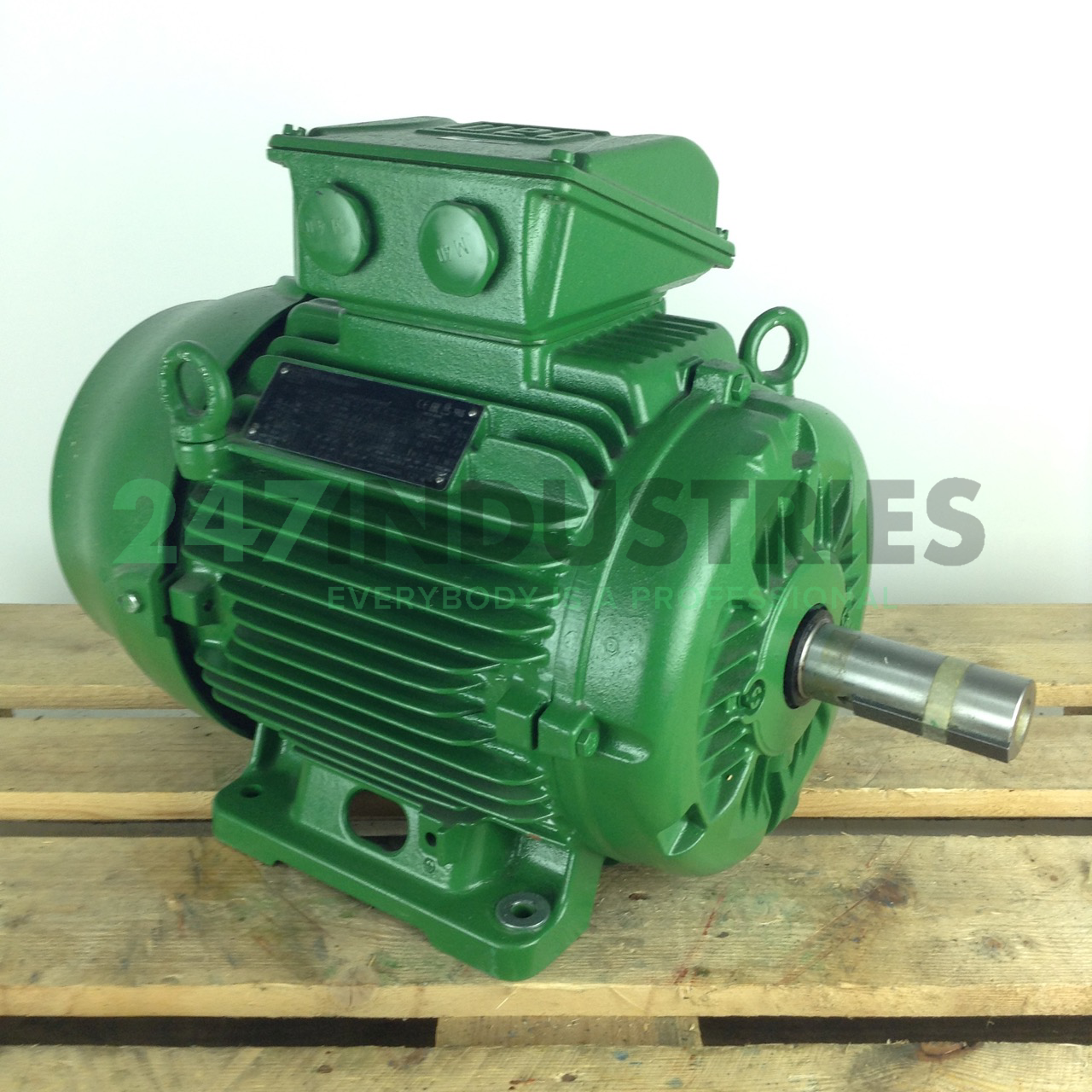 11K32CI31602B3 WEG Image 3