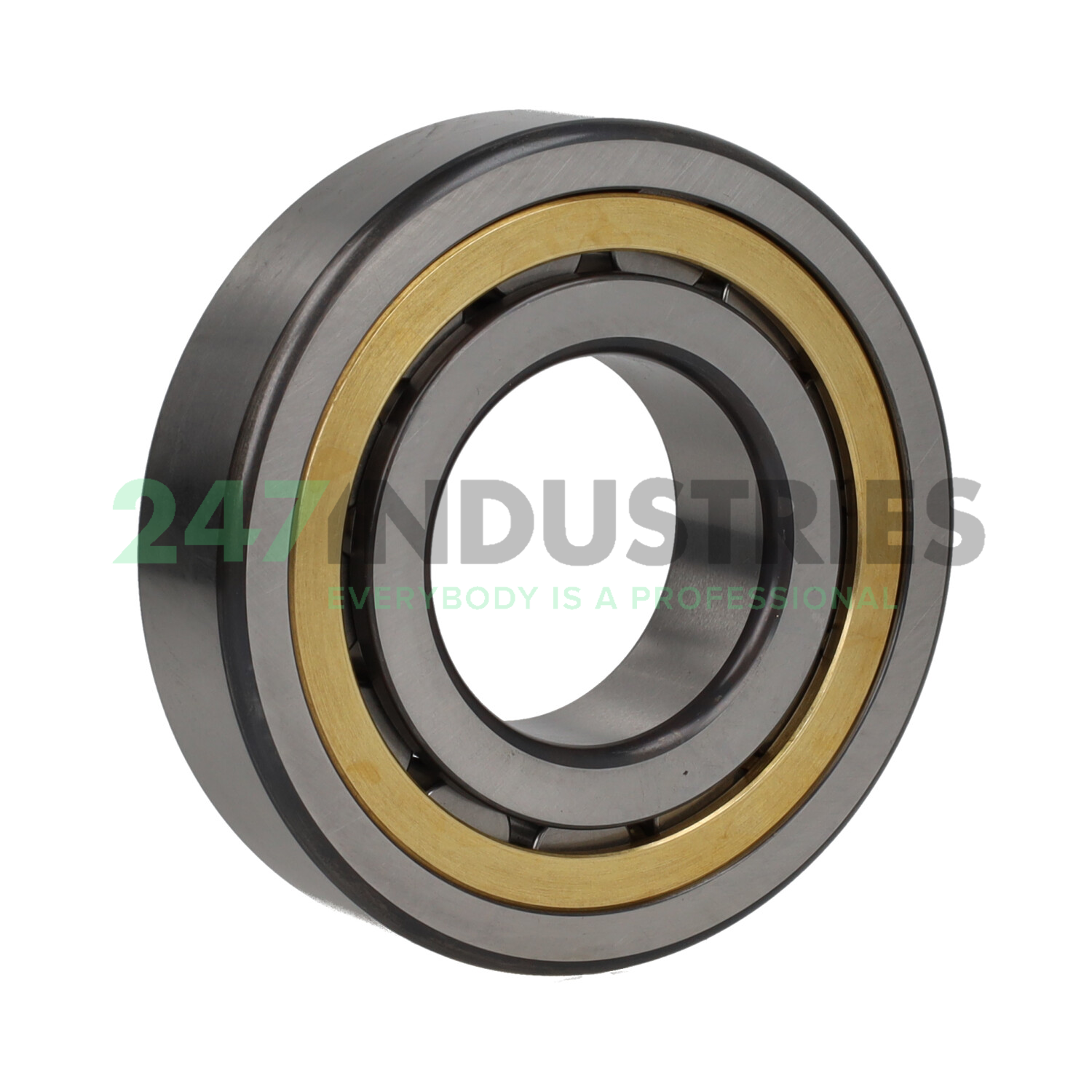 NJ310-E-XL-MPAX-S1-C3 FAG Image 3