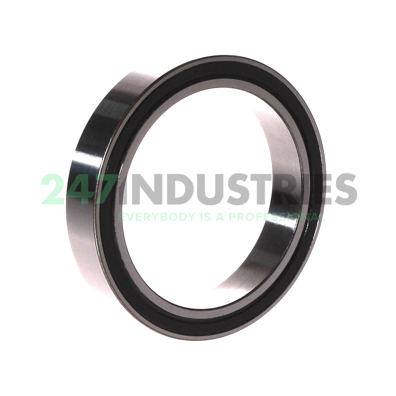 3812-2RS INA Image 2