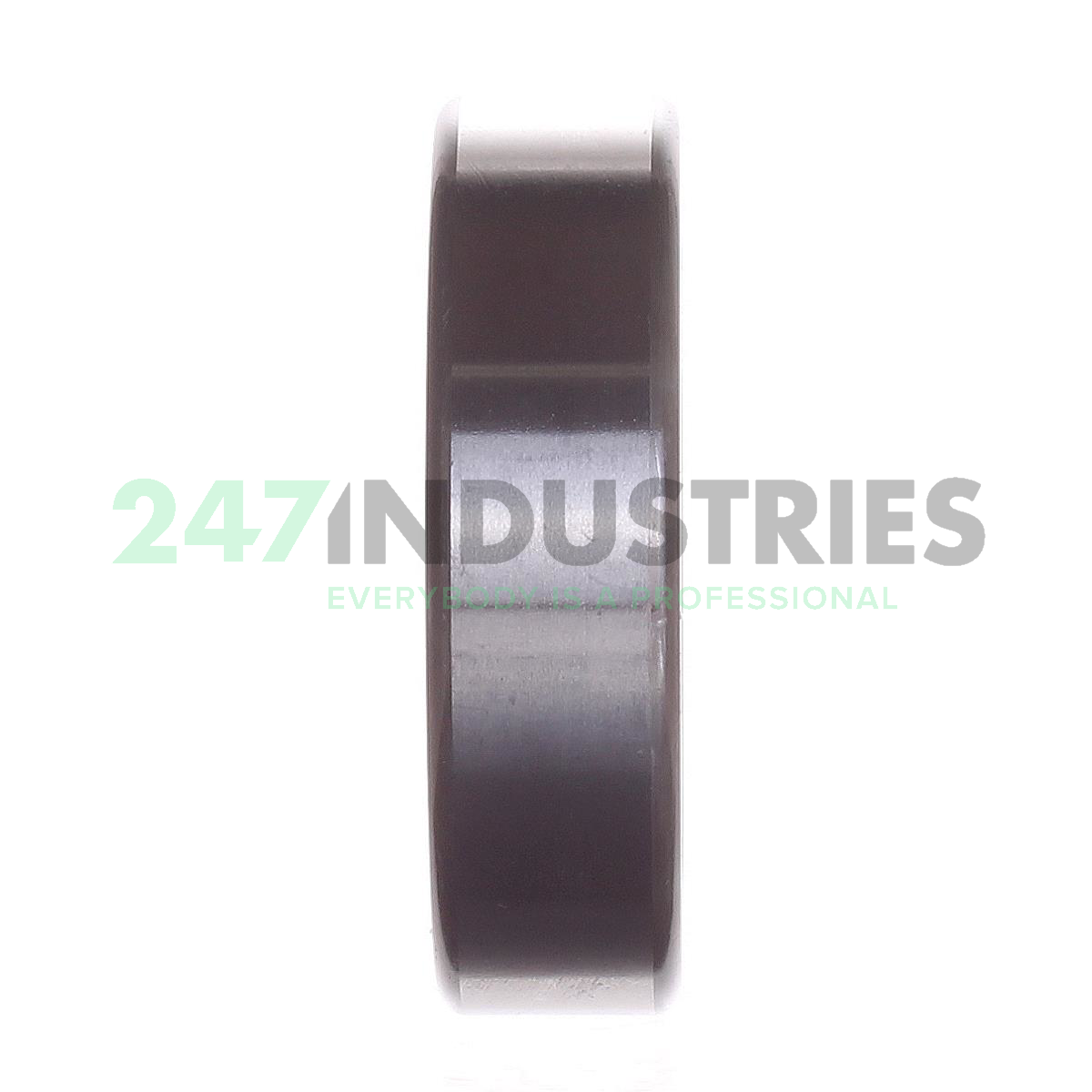6306-2RS1 SKF Image 3