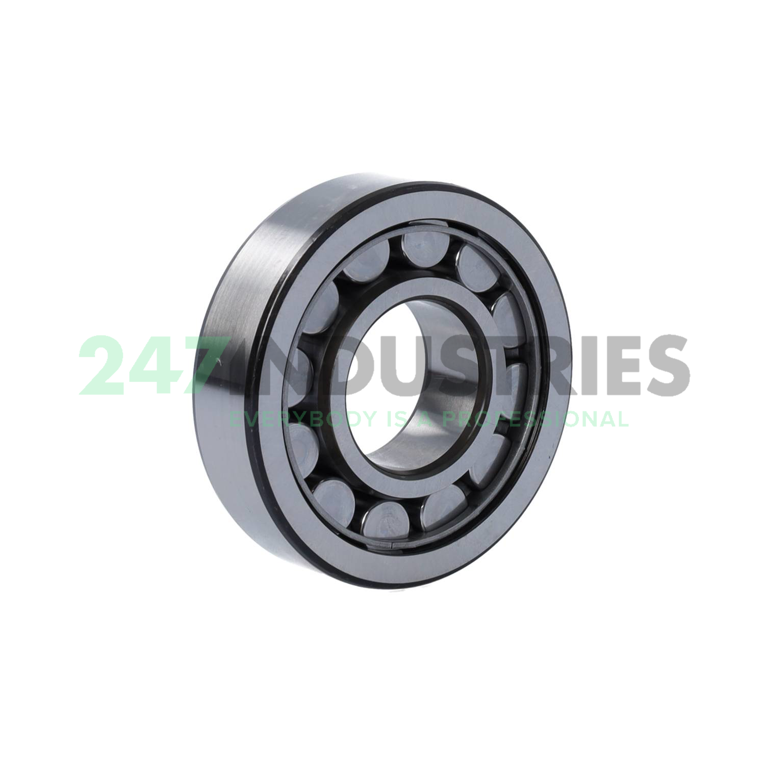 NJ306ECJ/C3 SKF Image 2