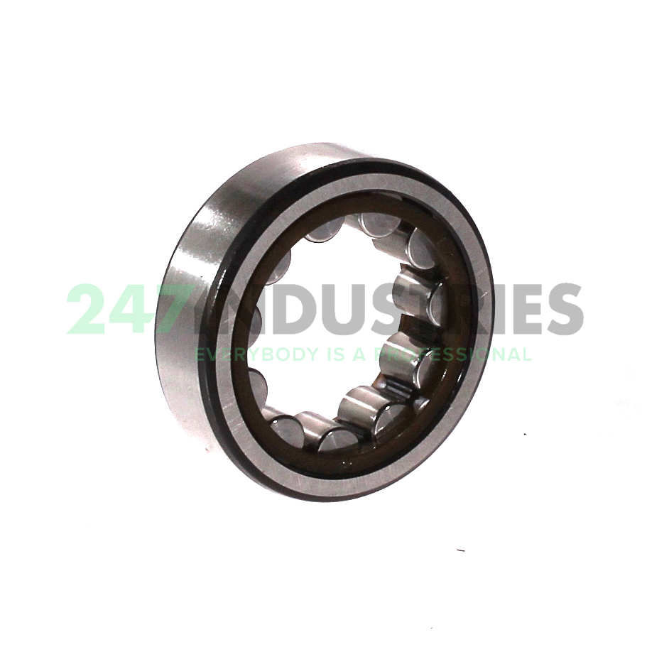 RNU204ECP SKF Image 2