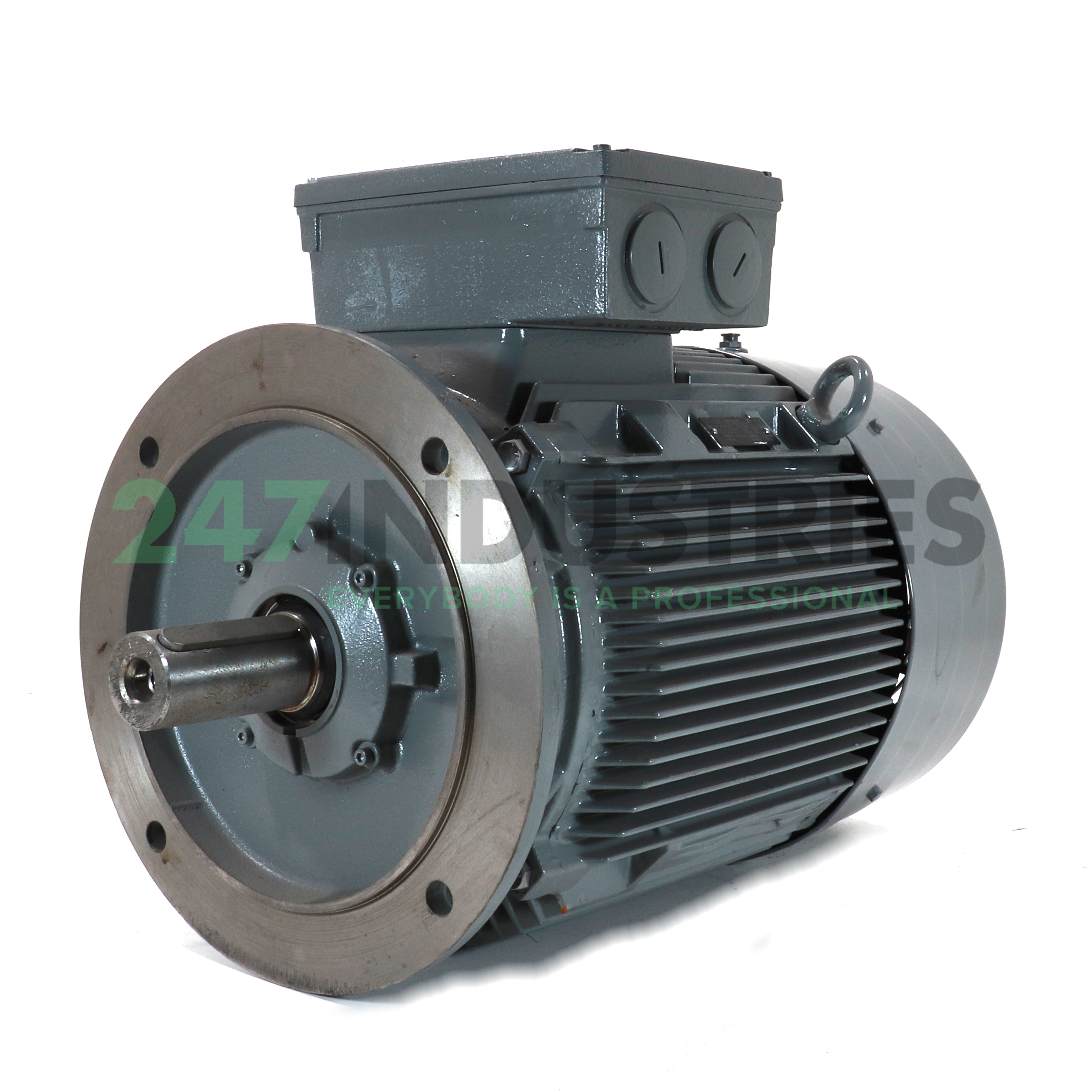 14BG207-6AA11-Z Lönne