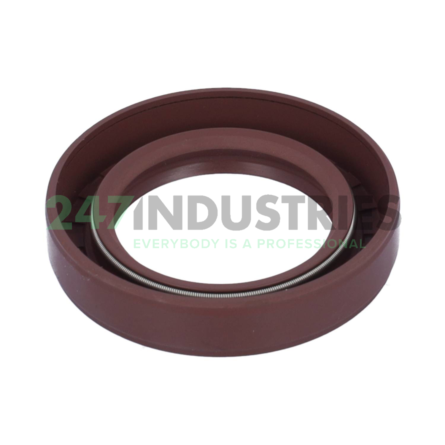 TC40X62X12 Lyon Image 2