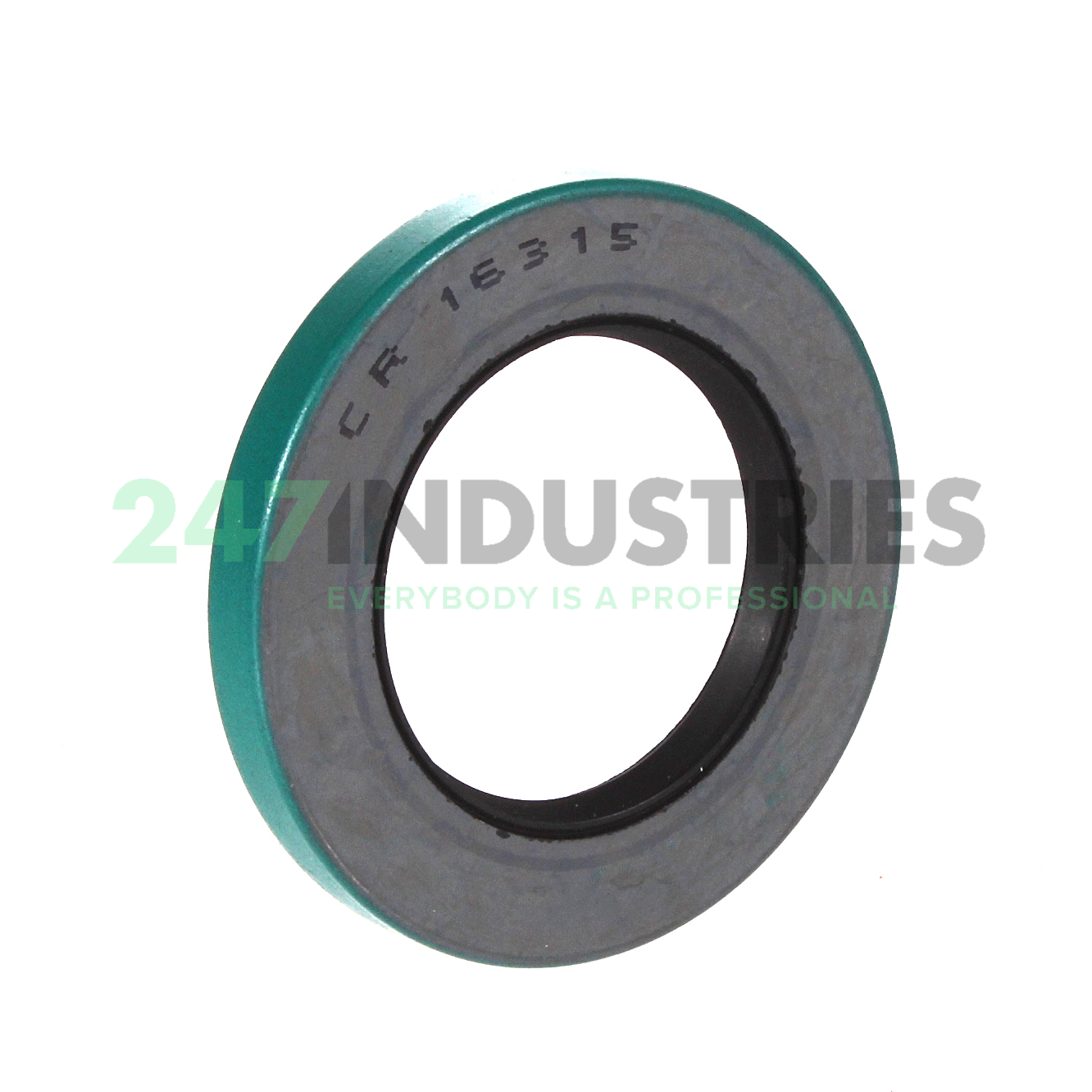 16315 SKF Image 1