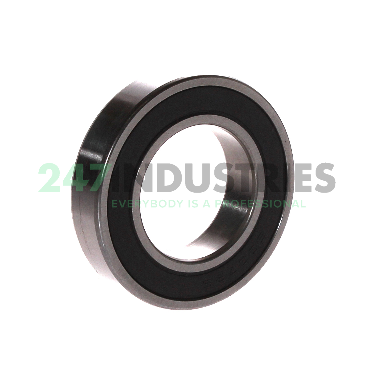 6007-2RS Felstrom Image 2